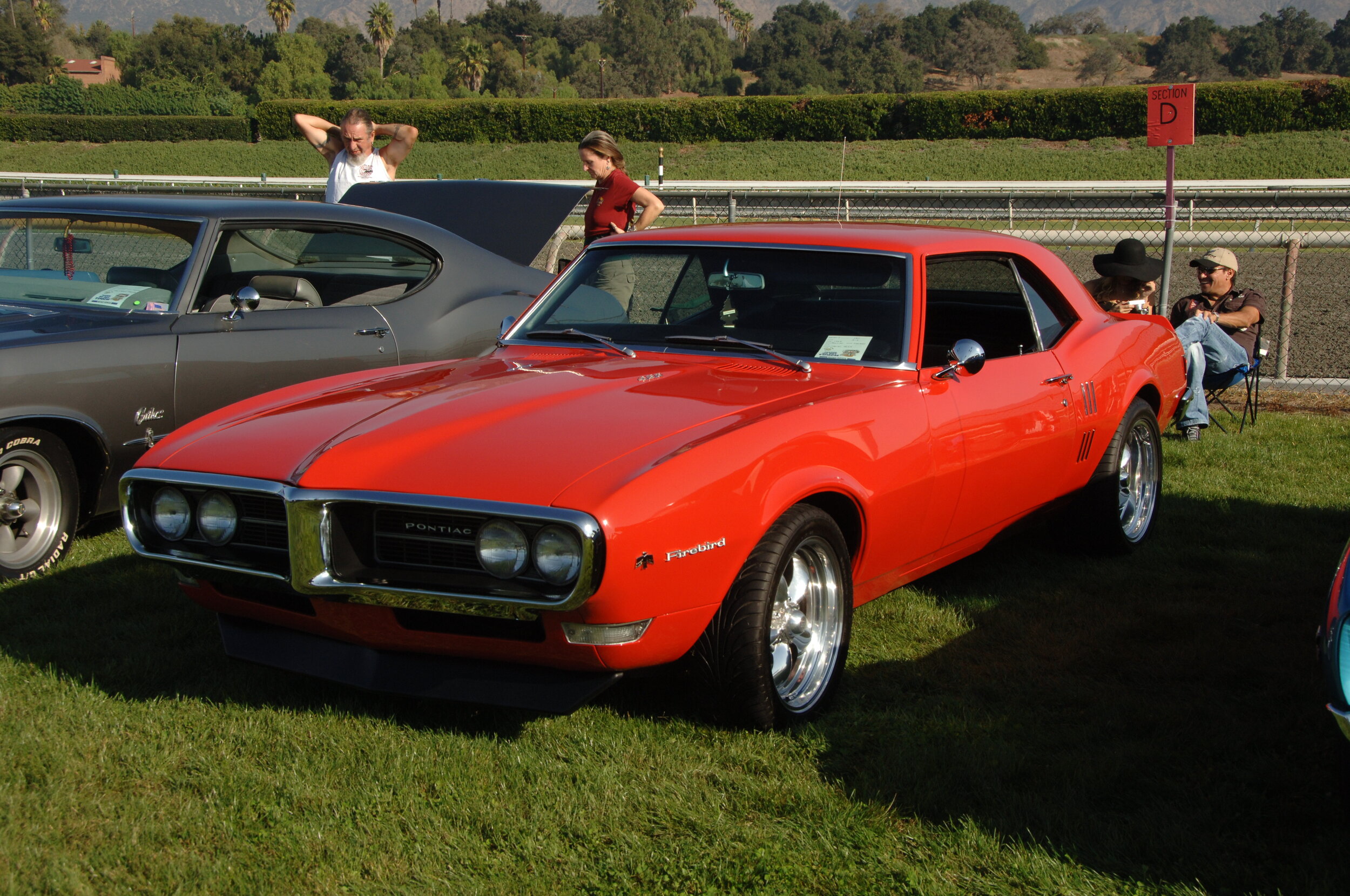 DSC_4728.JPG