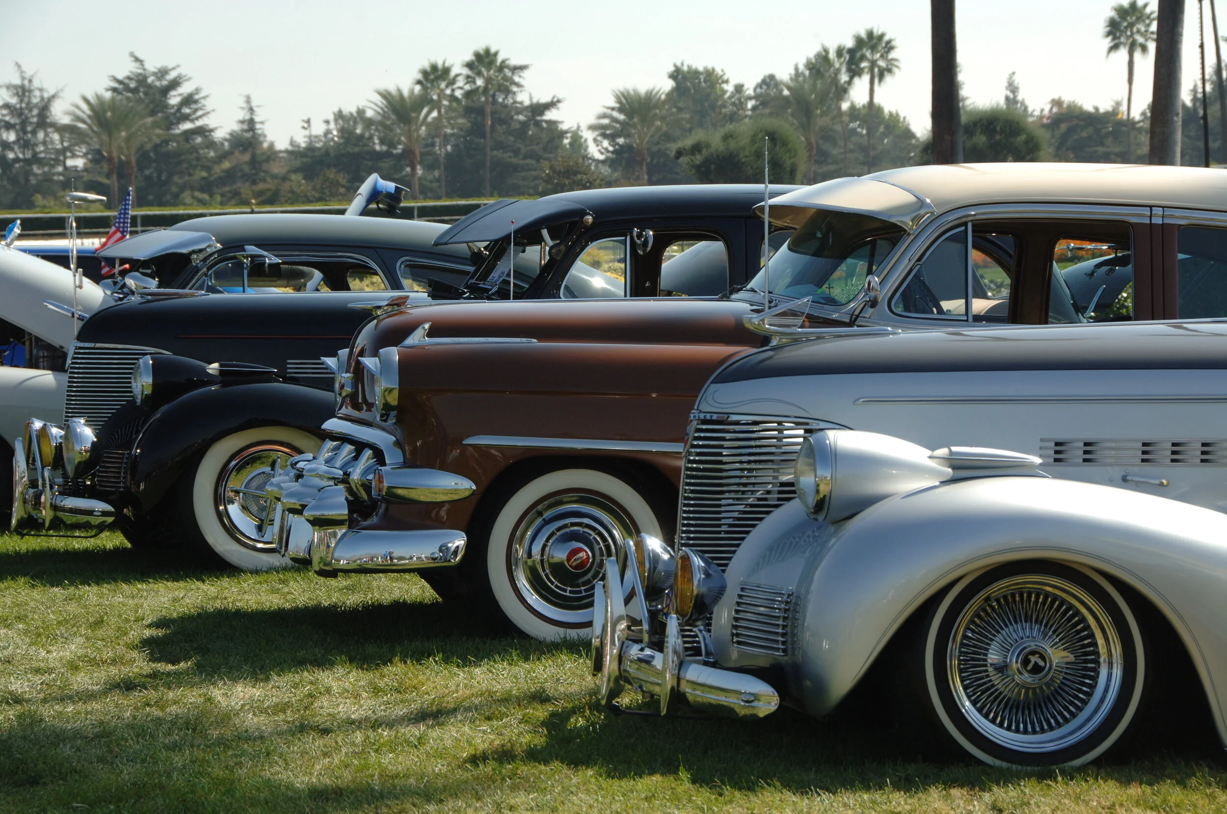 DSC_4769.JPG