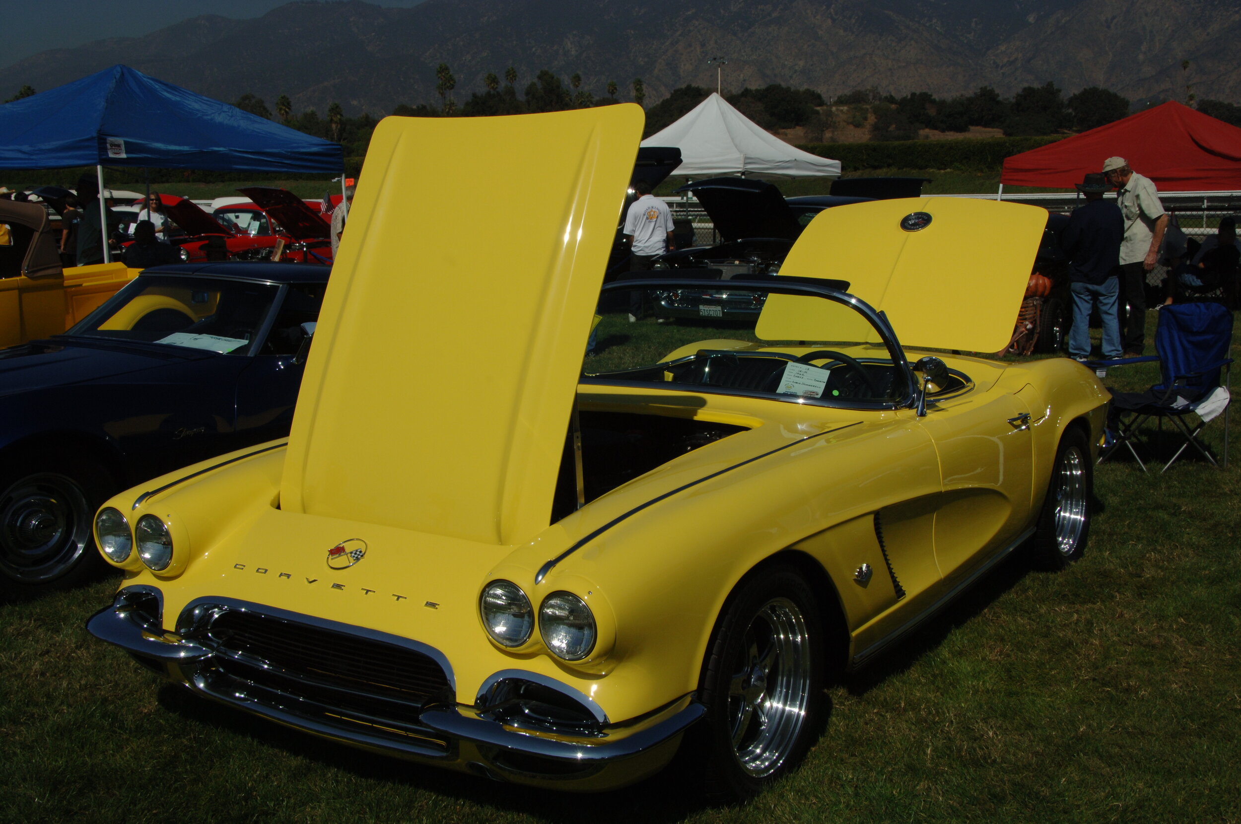 DSC_4771.JPG
