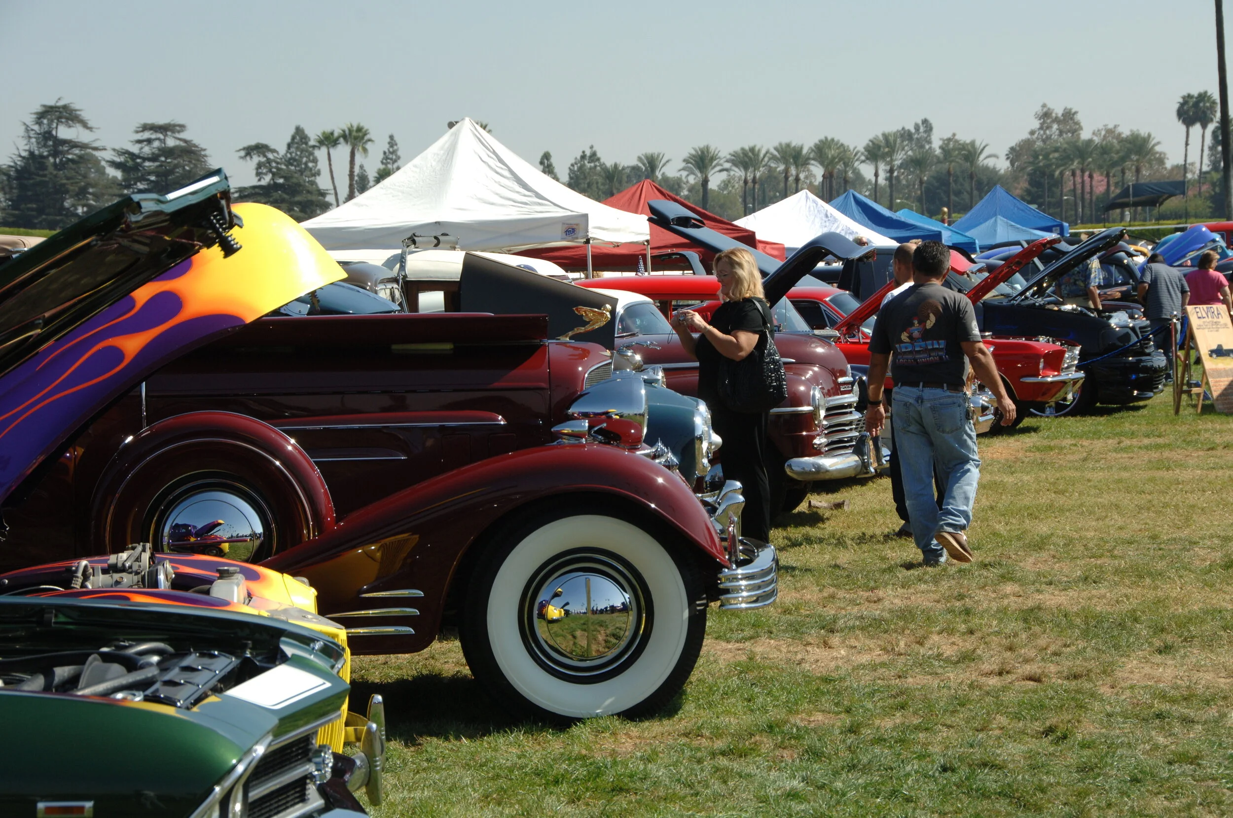 DSC_4773.JPG