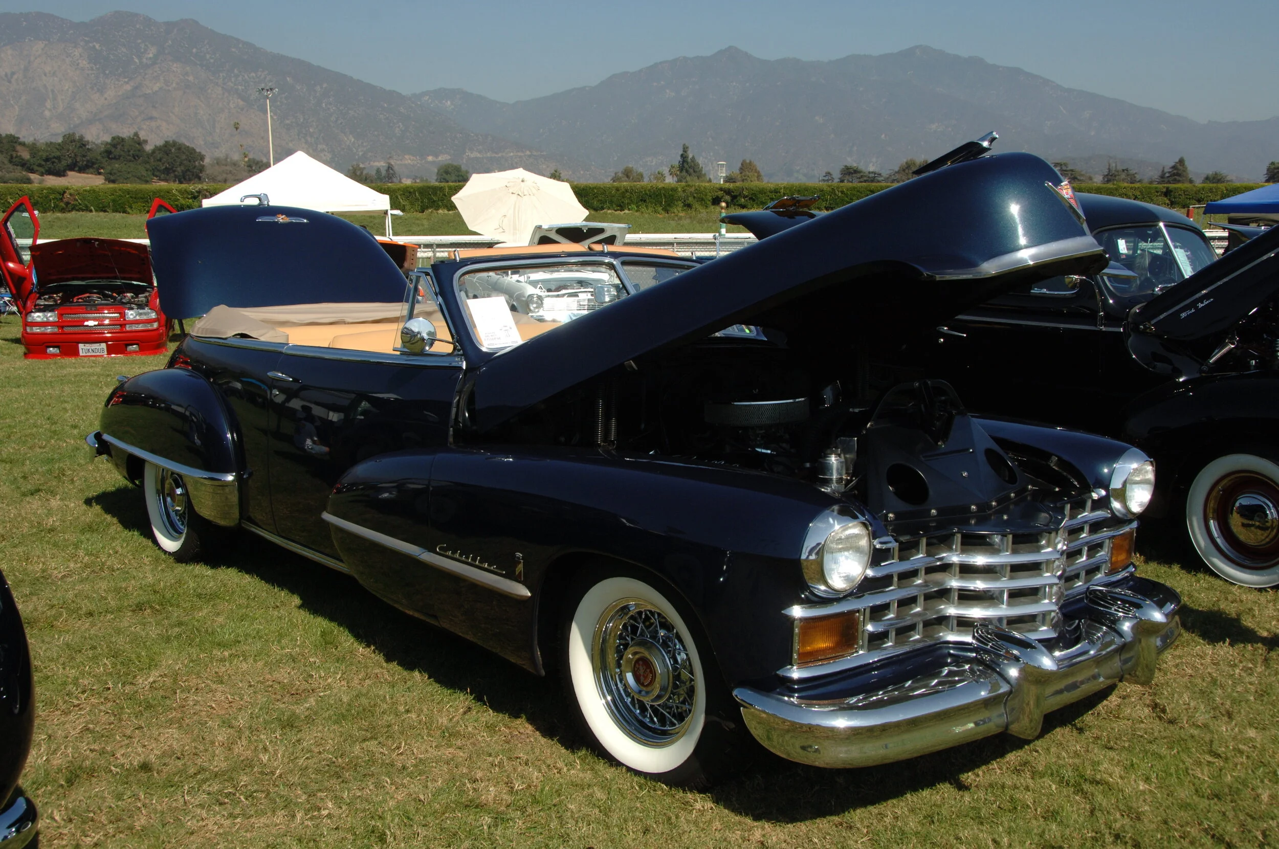 DSC_4778.JPG