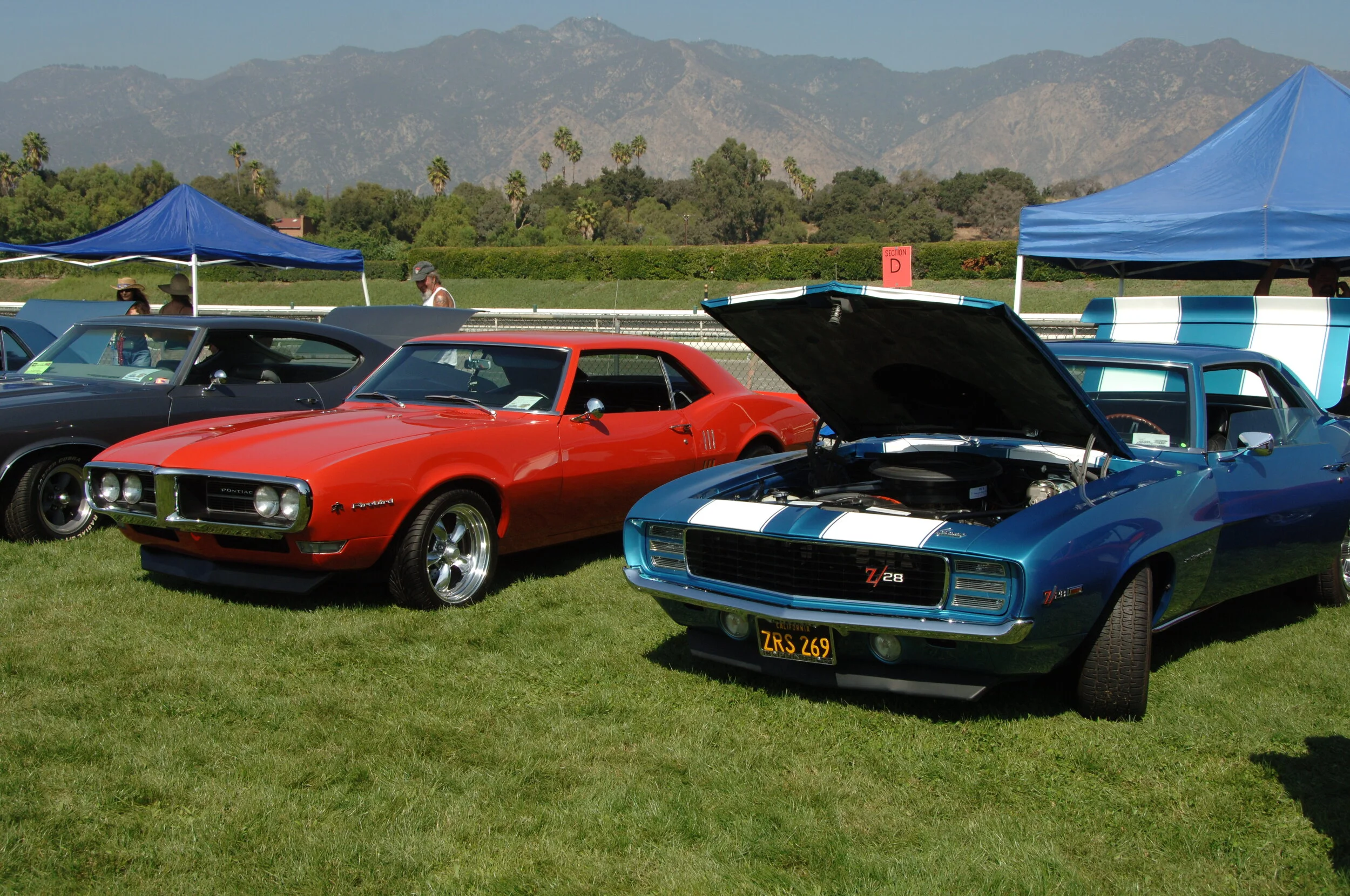 DSC_4779.JPG