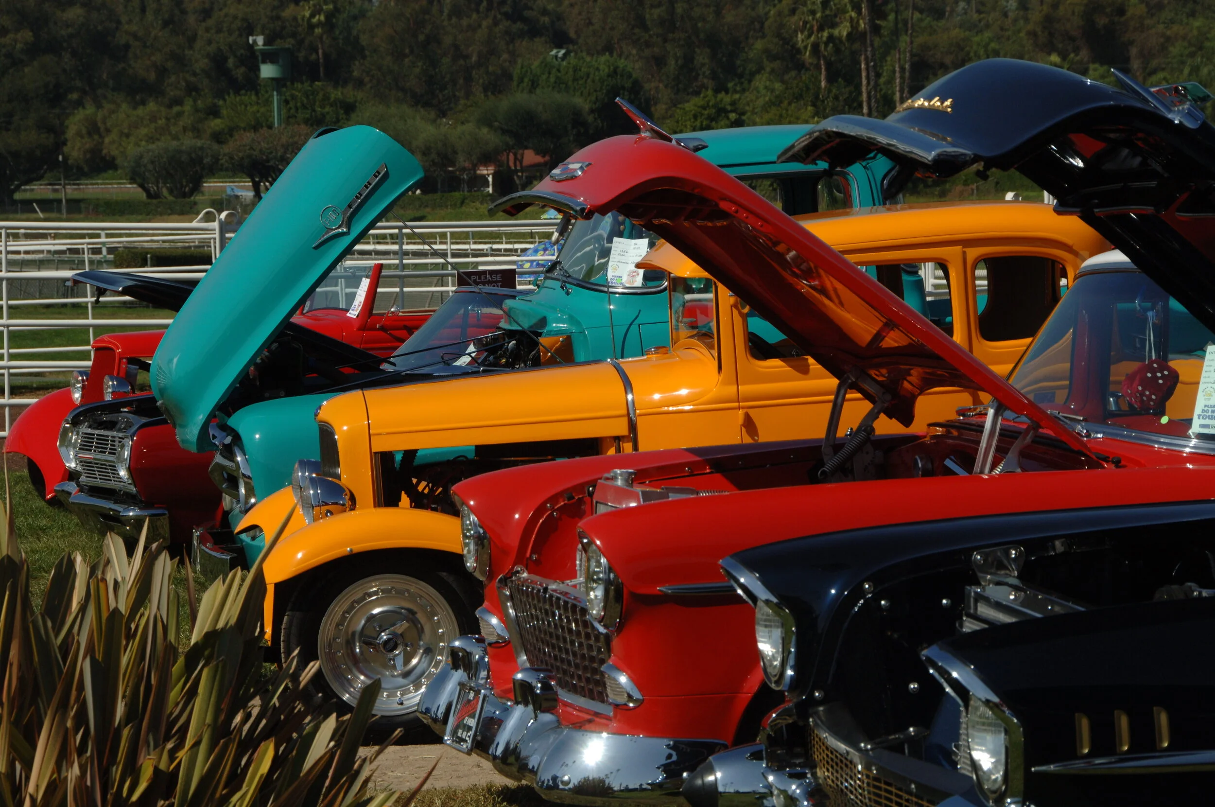 DSC_4783.JPG