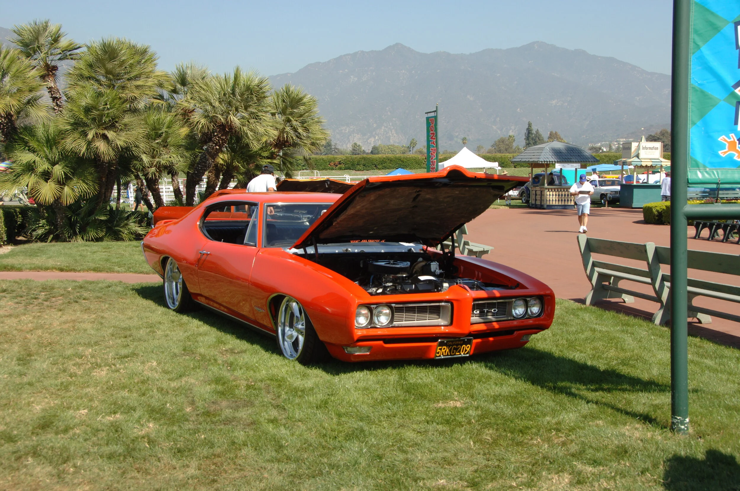 DSC_4785.JPG
