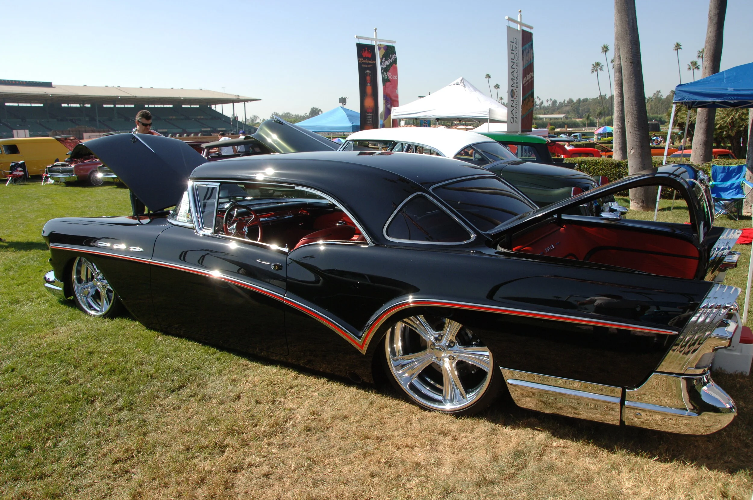 DSC_4786.JPG