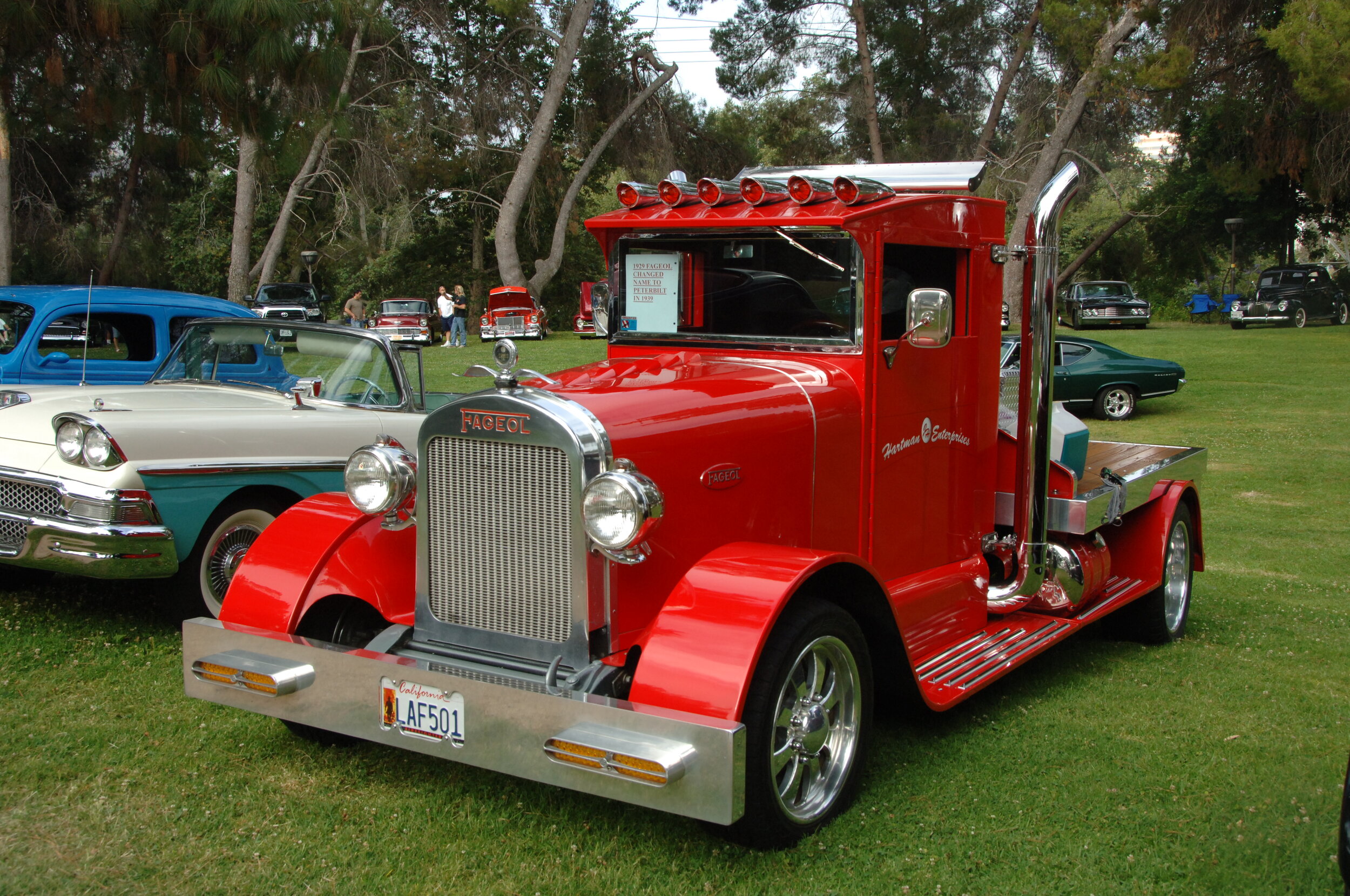 DSC_1142.JPG