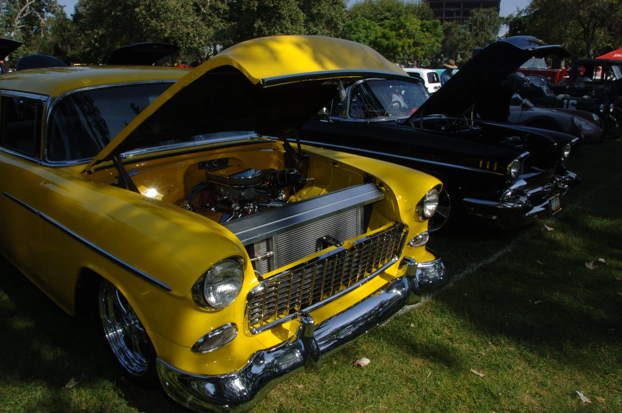 DSC_1177.JPG