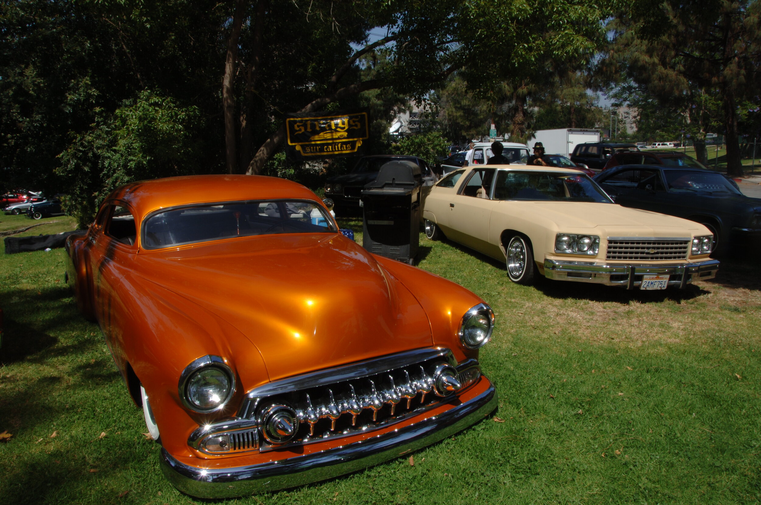DSC_1230.JPG