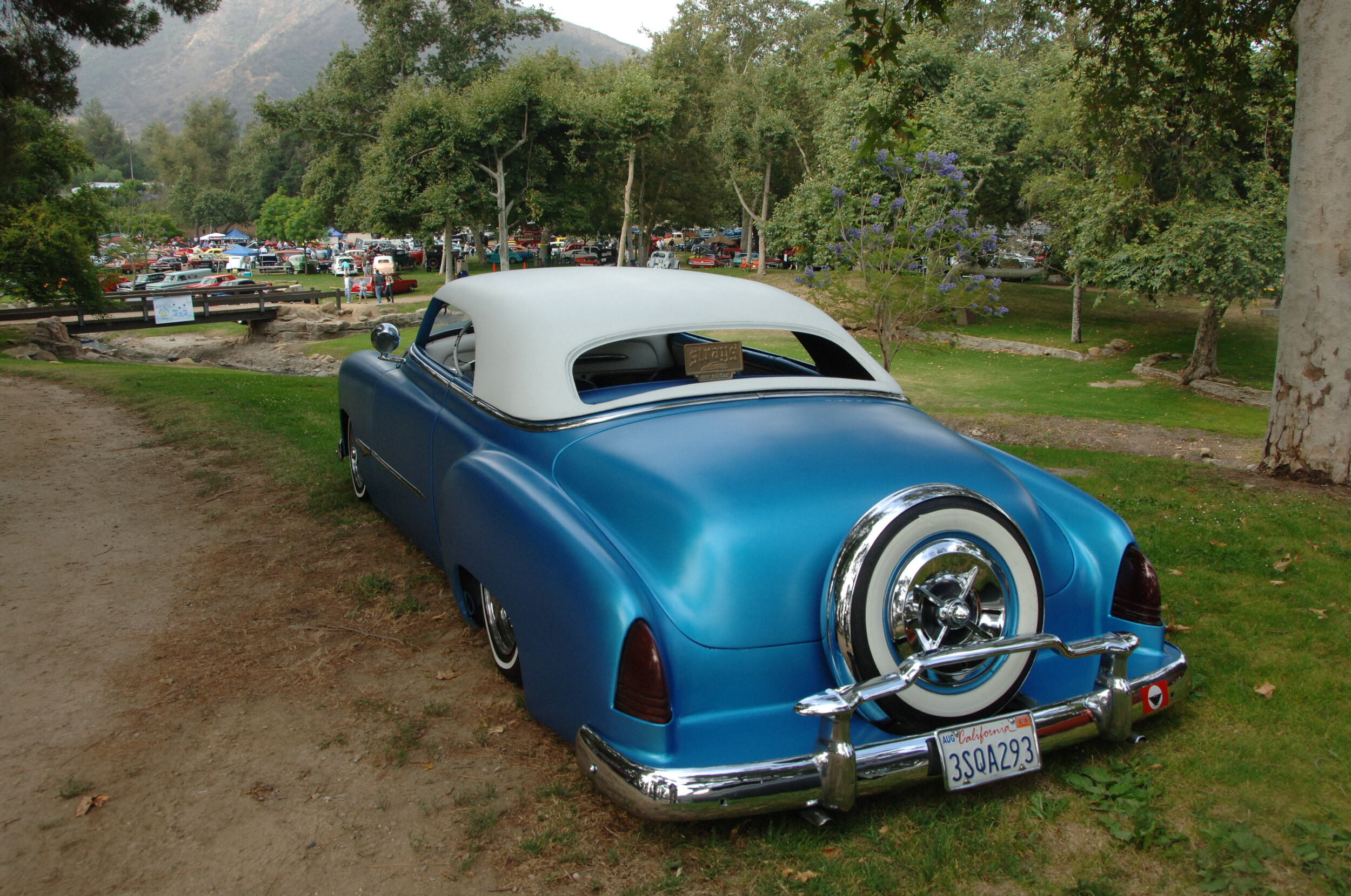 DSC_1145.JPG