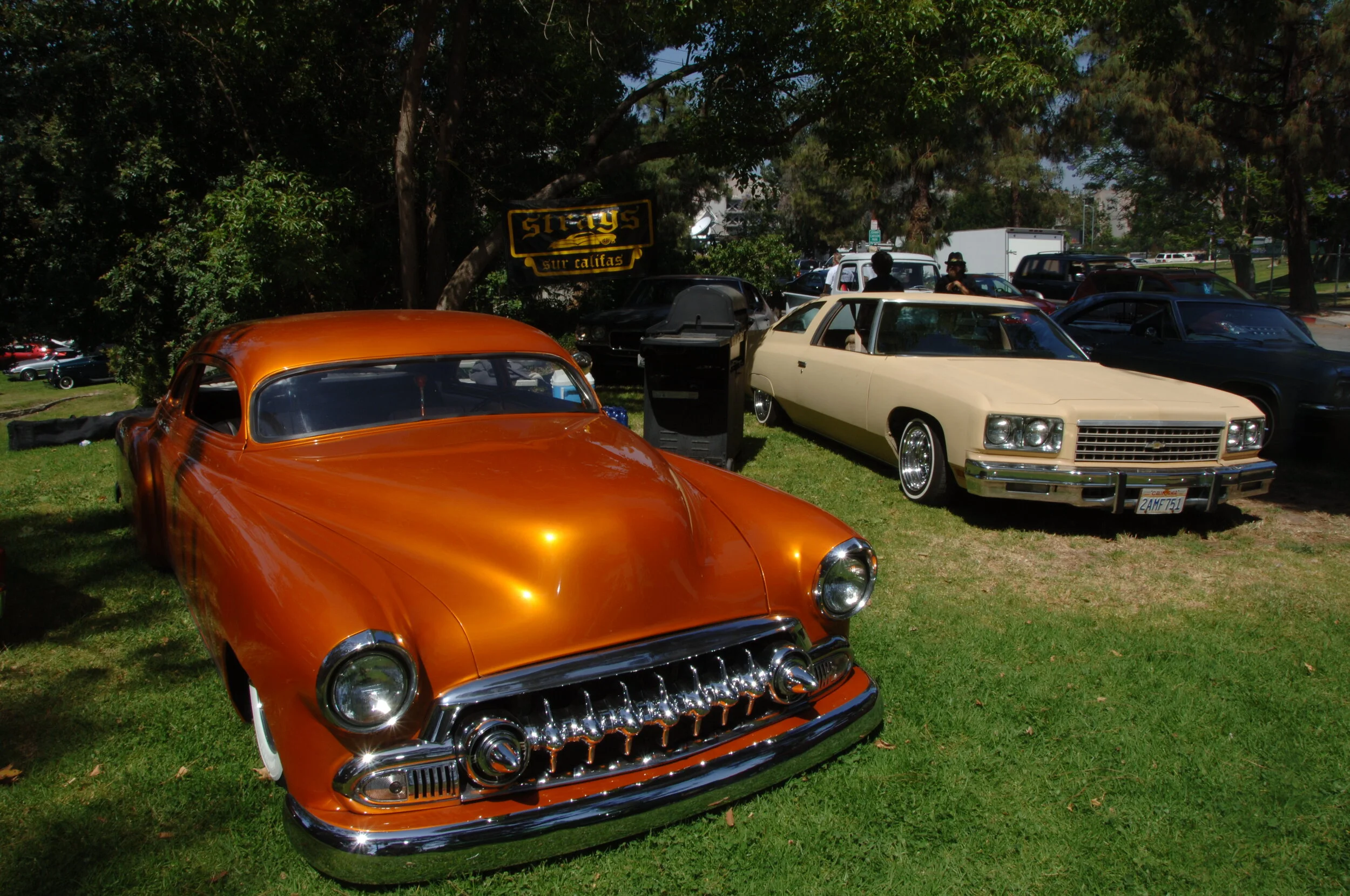 DSC_1230.JPG