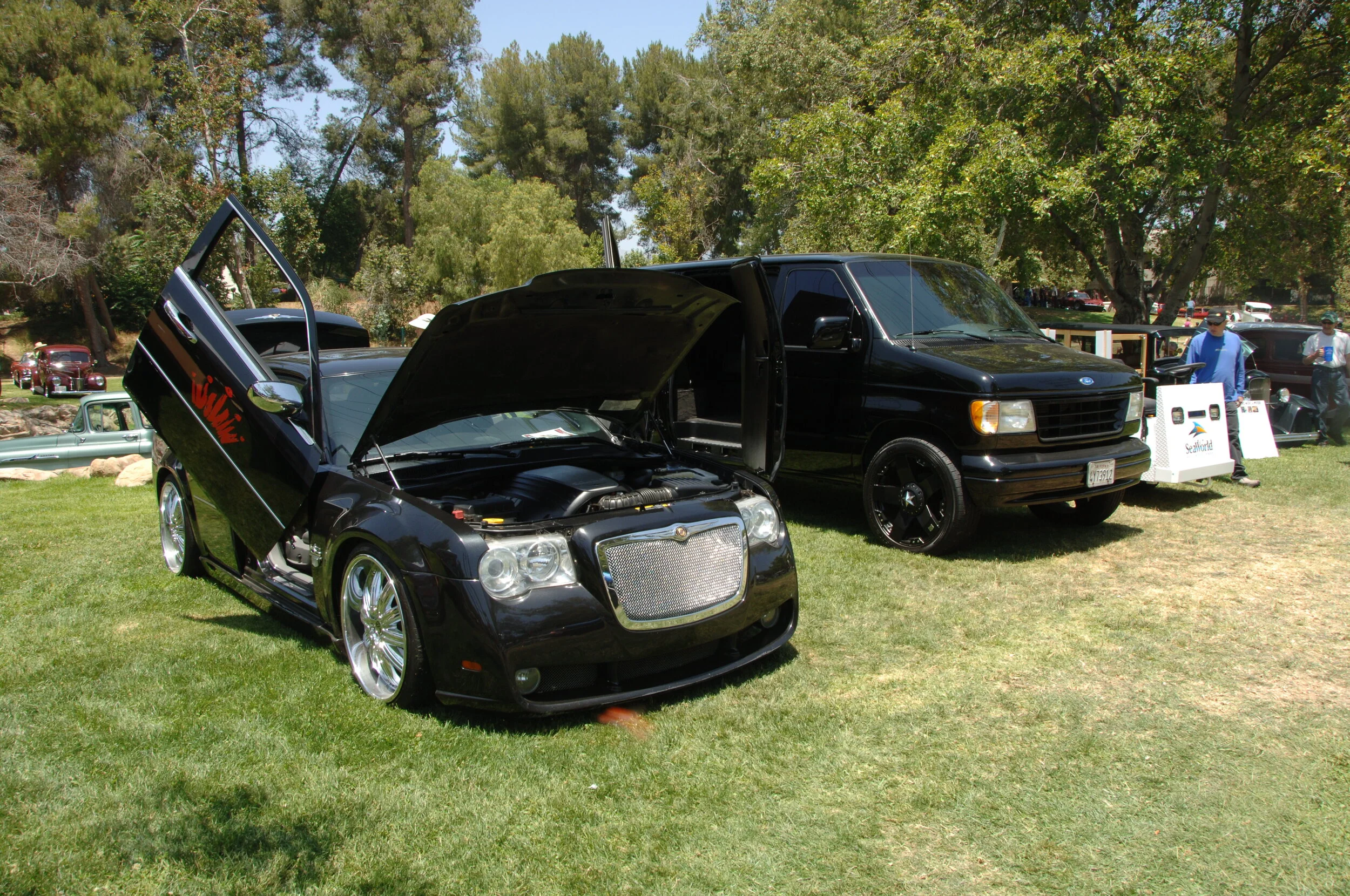 DSC_1325.JPG