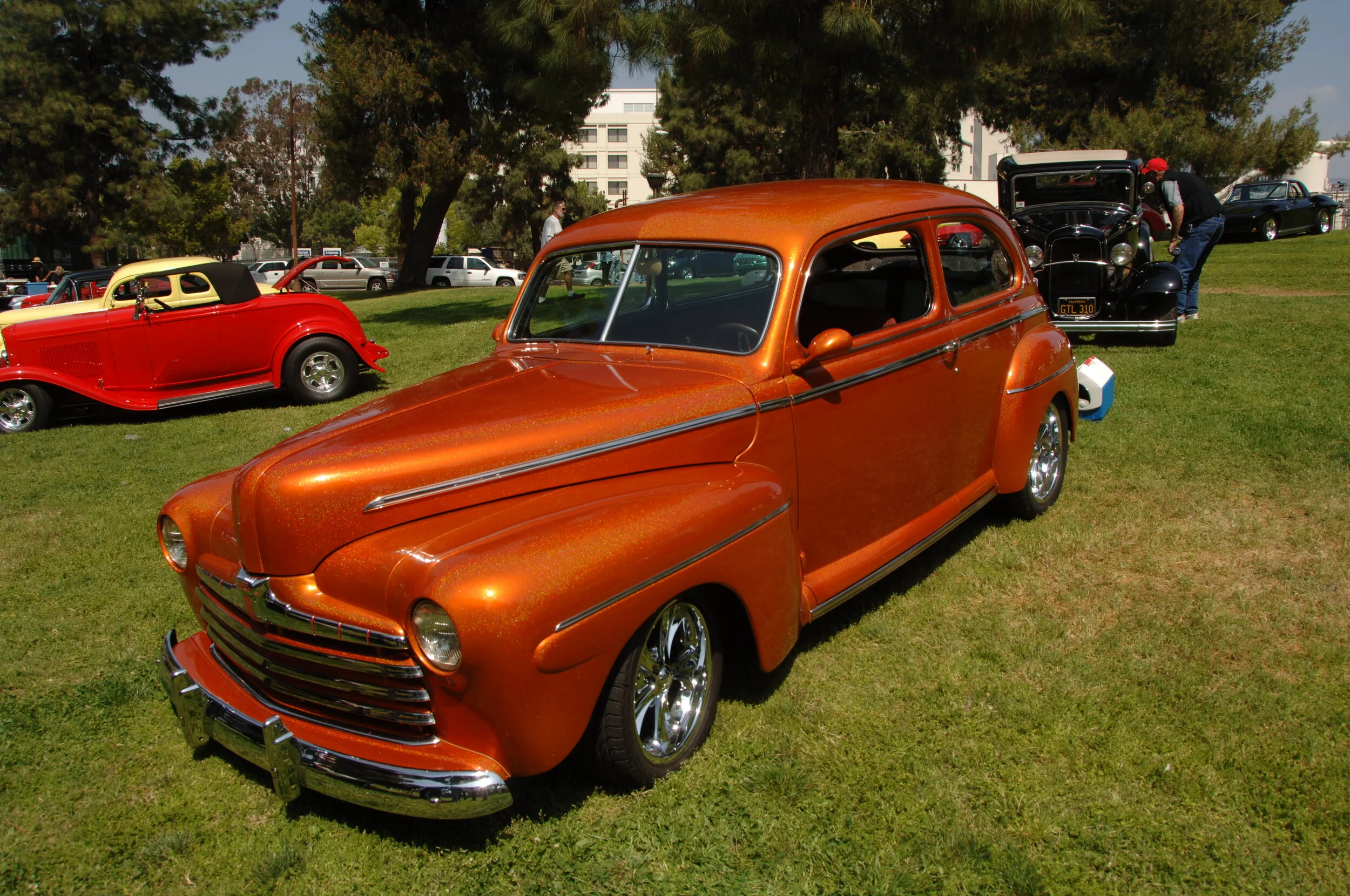 DSC_7908.JPG