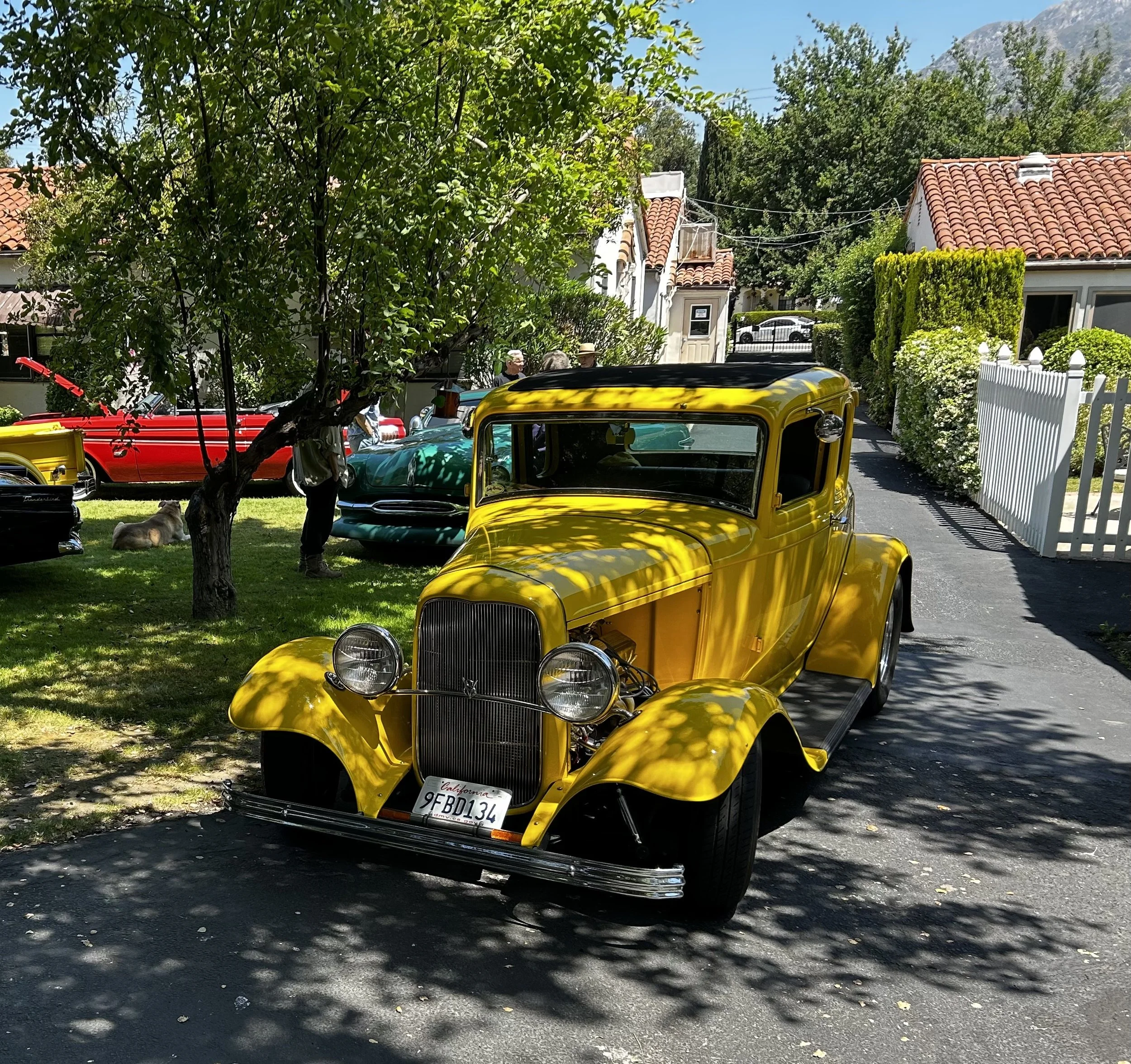 FullSizeRender (8).jpeg