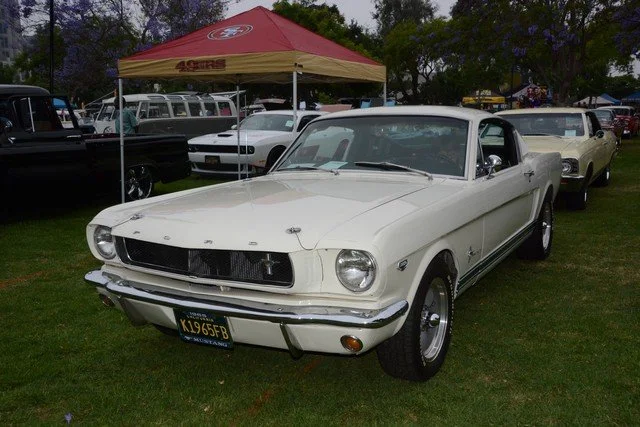 DP4_6555.jpg