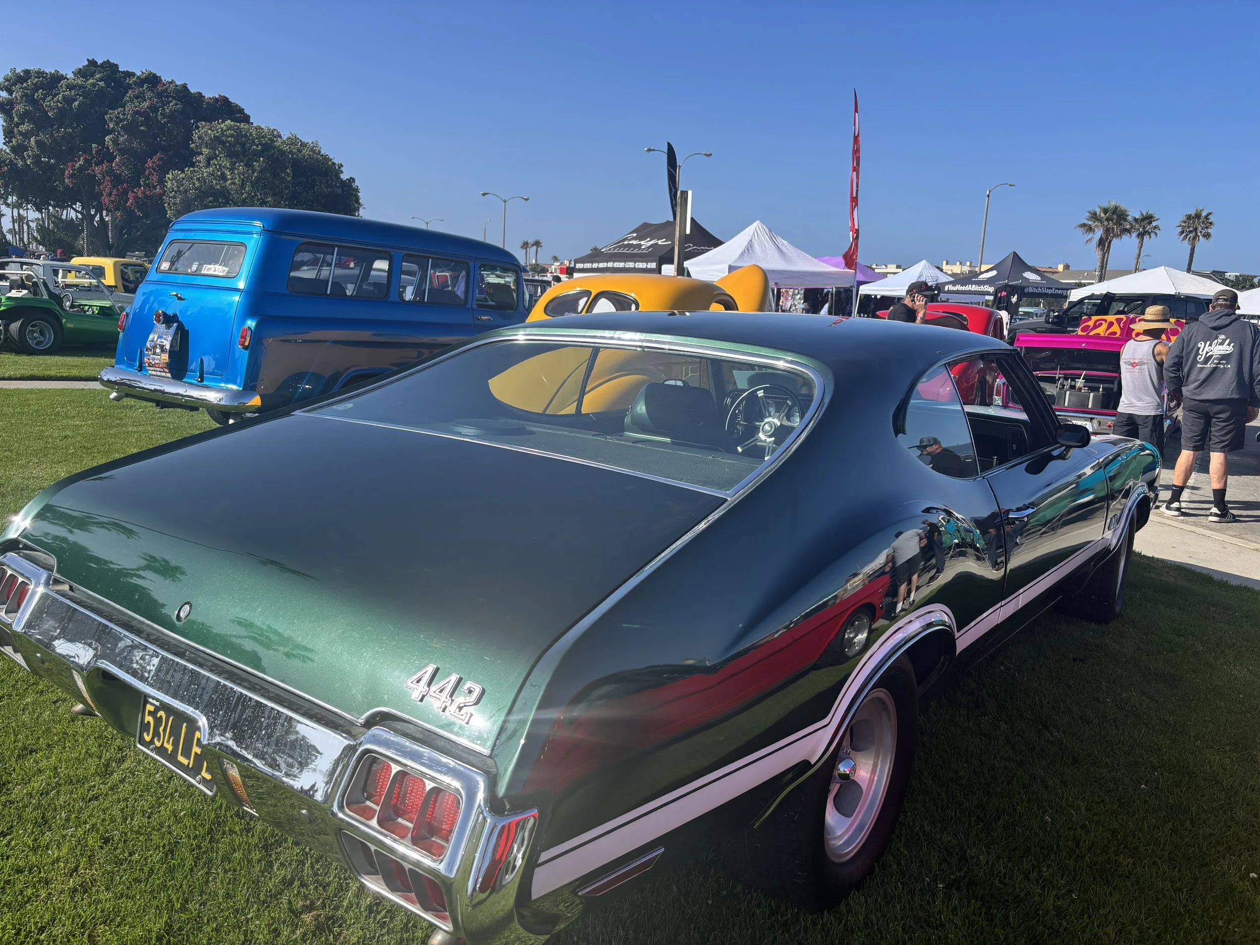 IMG_8441.JPG