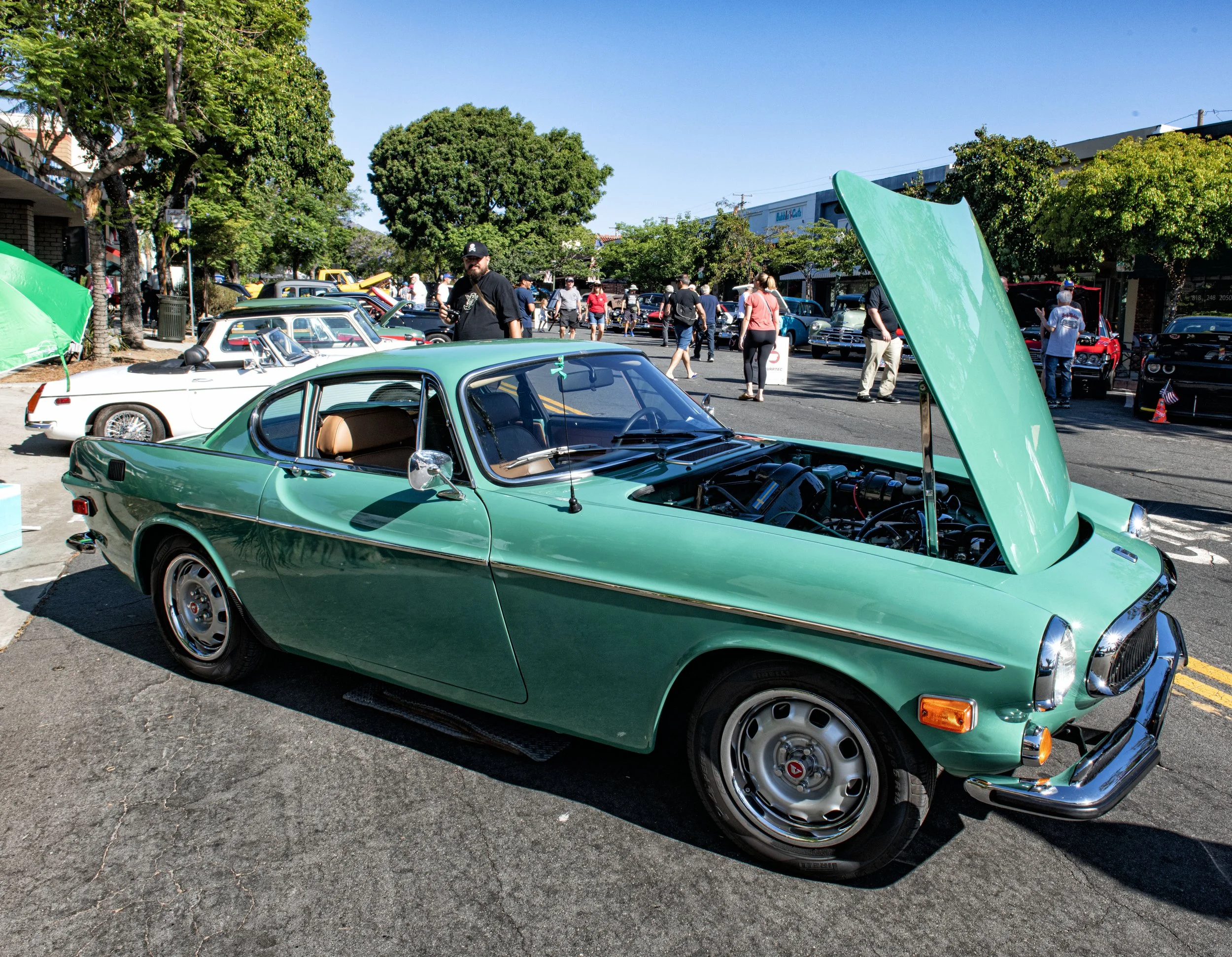 DSC_2097cfn copy.jpg