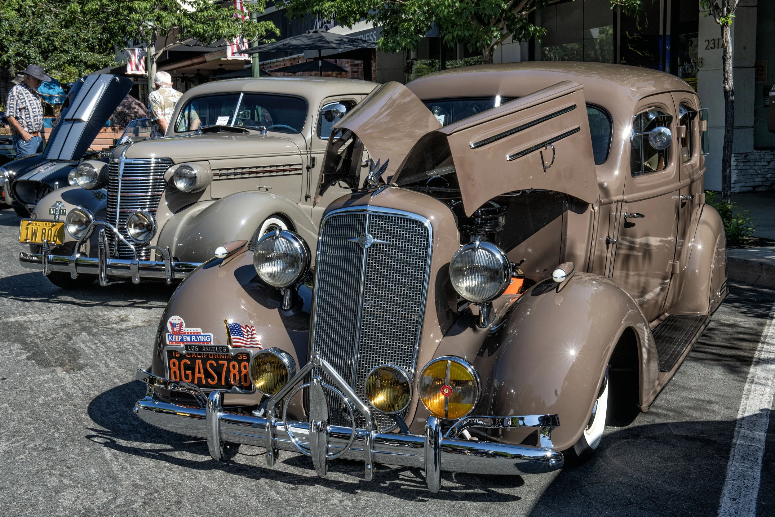 DSC_2102cfn copy.jpg