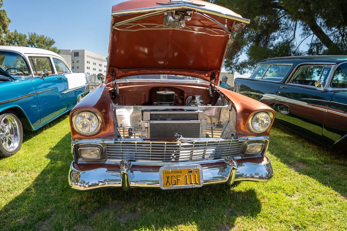 _Z632536-6.jpg