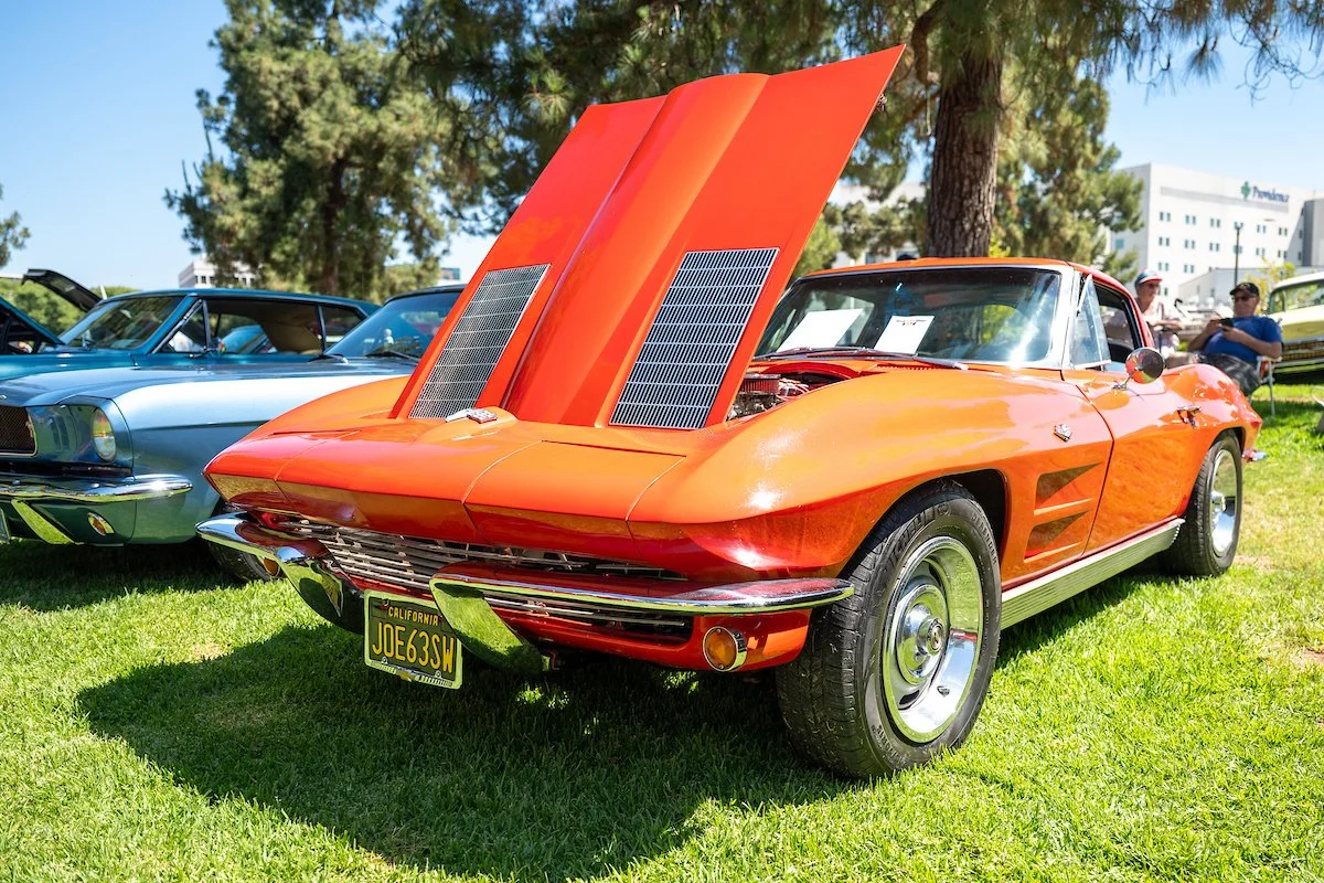 _Z632543-6.jpg