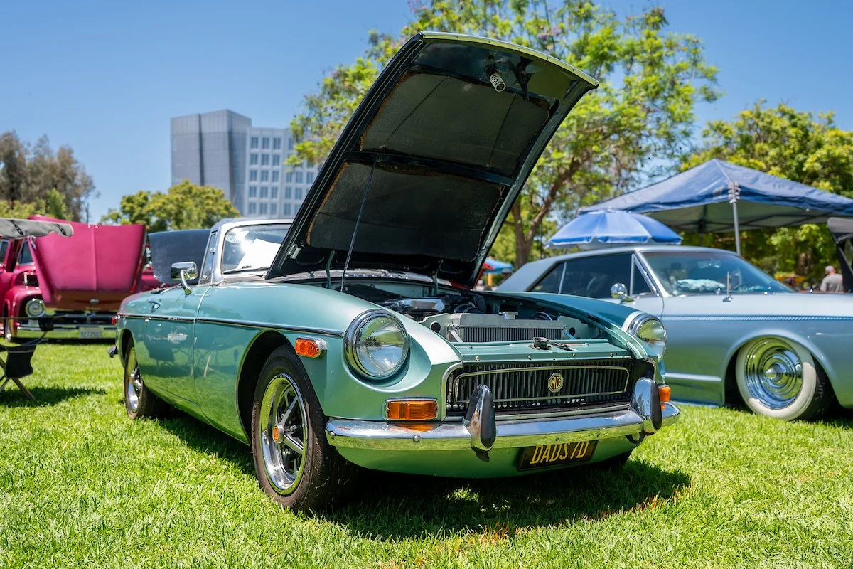 _Z632934-6.jpg