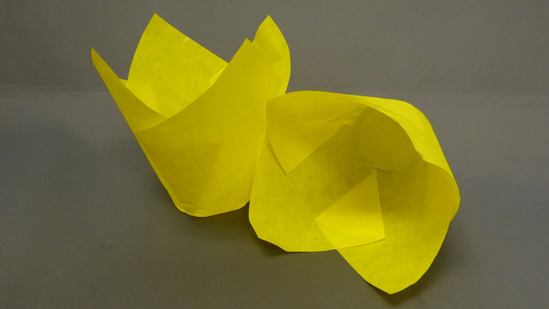 175 Yellow Tulip Cup.JPG