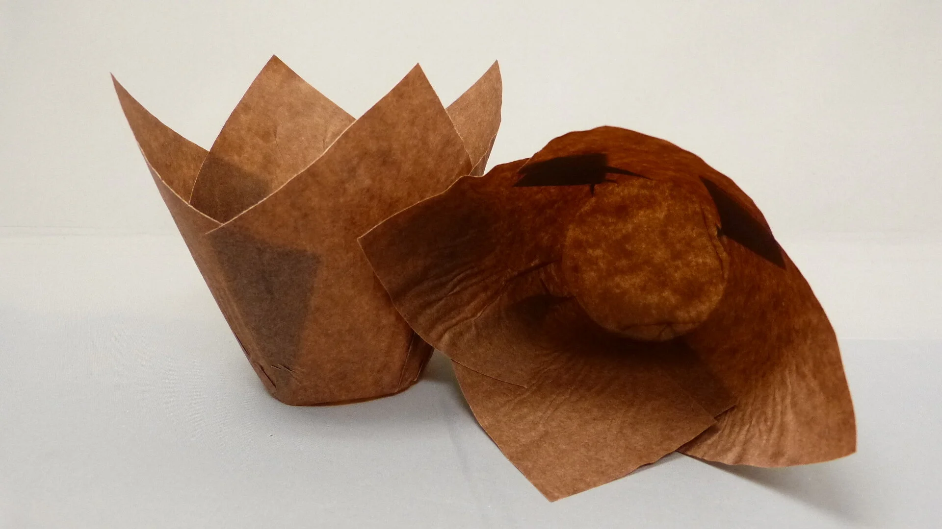 160 Brown Tulip Cup.JPG