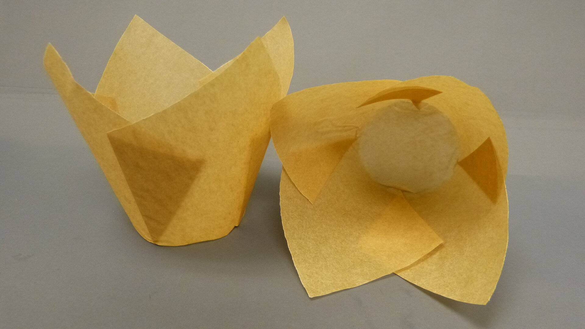 160 Natural Tulip Cup.JPG