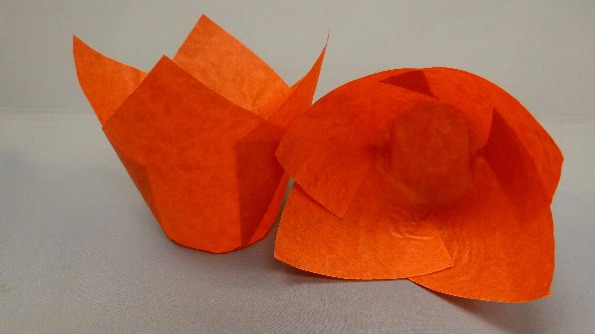 160 Red Tulip Cup.JPG