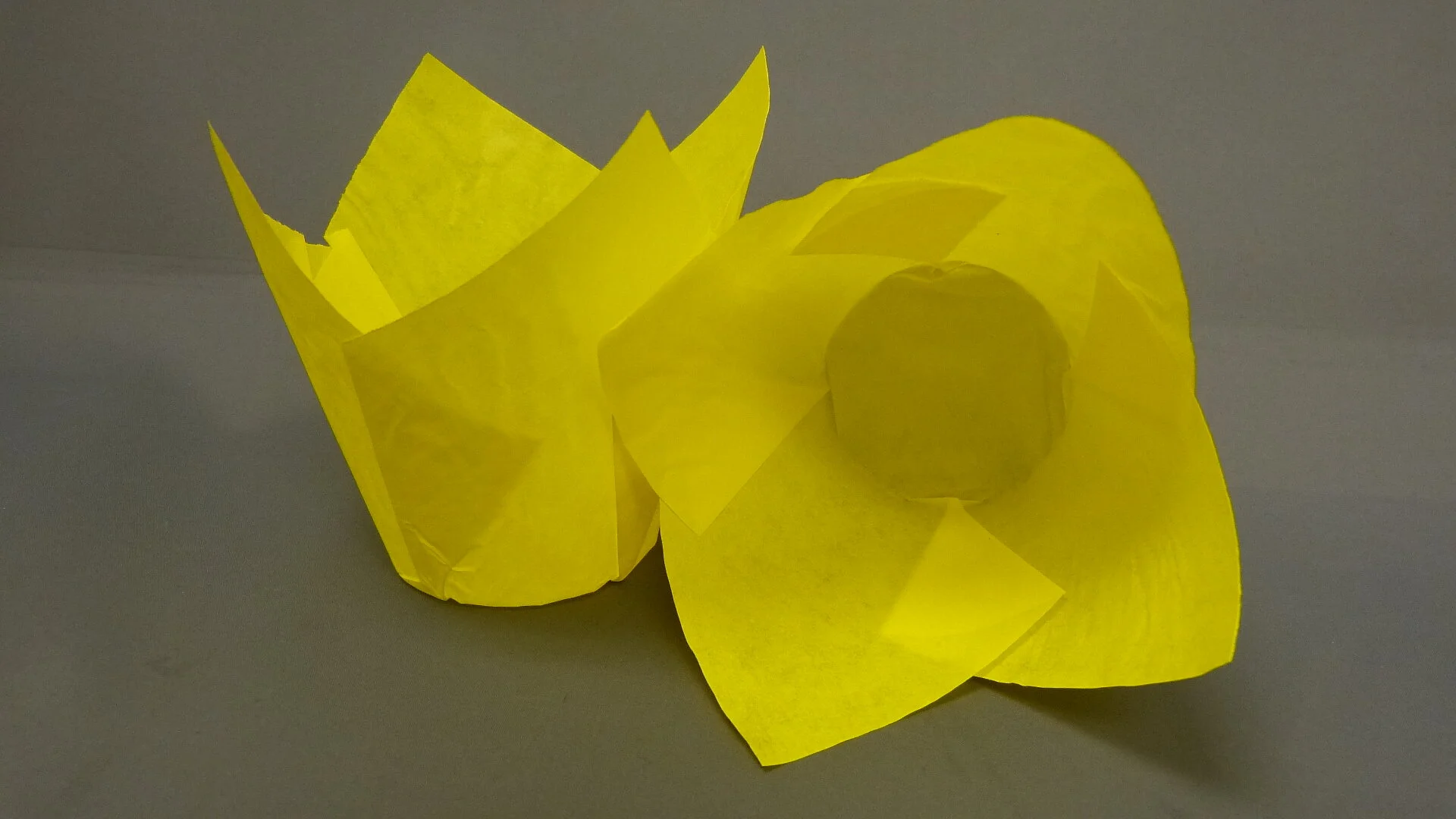 160 Yellow Tulip Cup.JPG