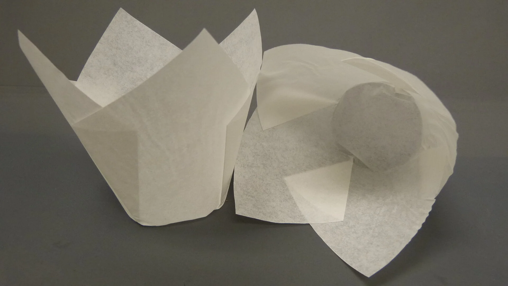 160 White Tulip Cup.JPG