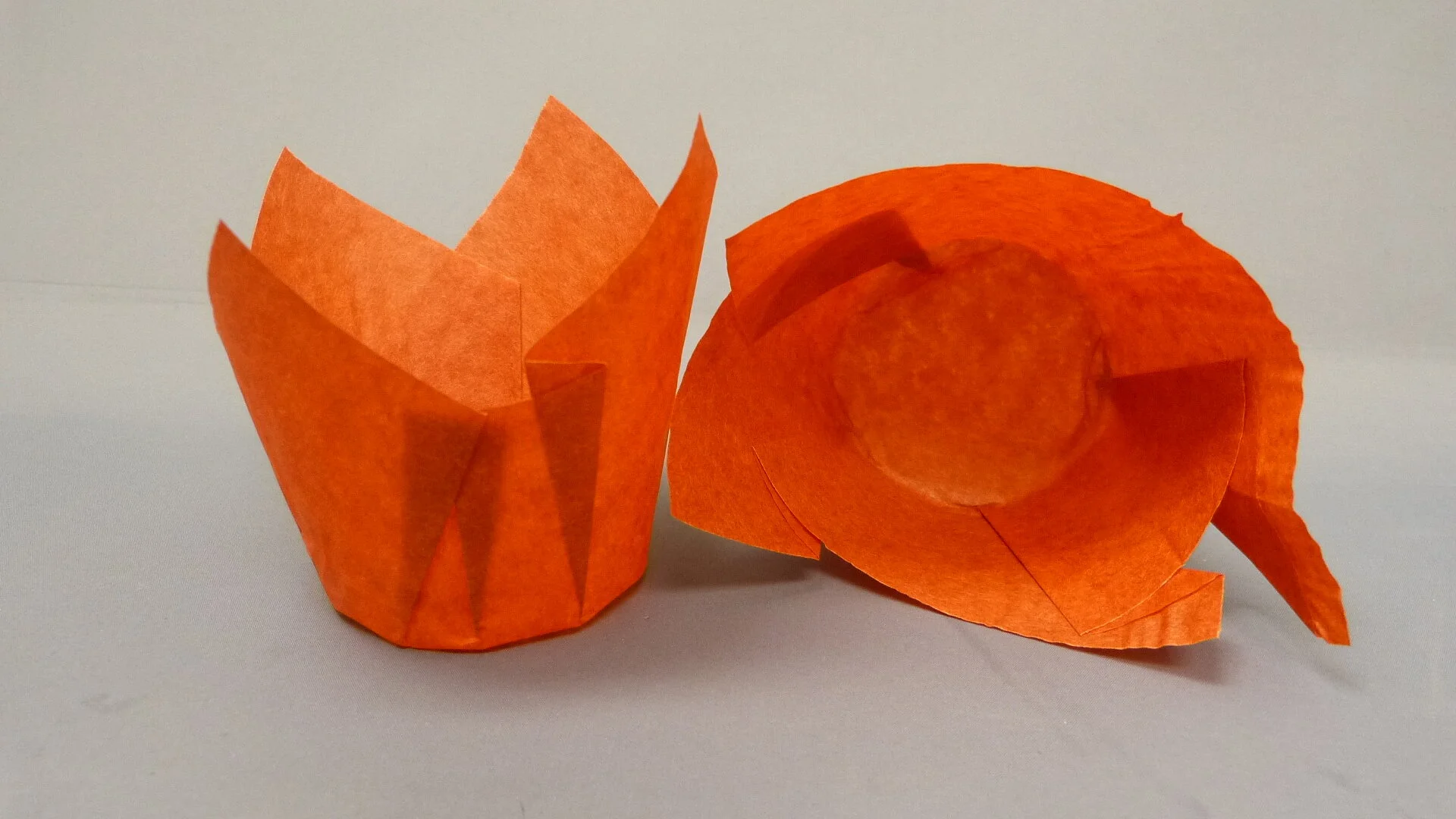 132 Red Tulip Cup.JPG