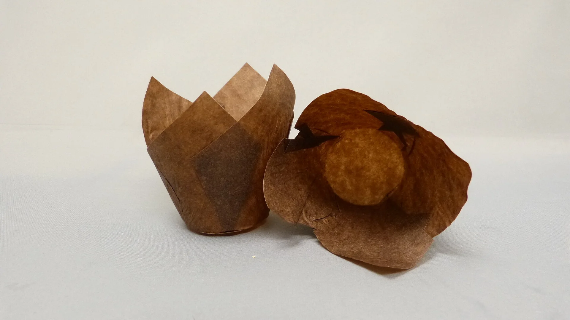 110 Brown Tulip Cup.JPG