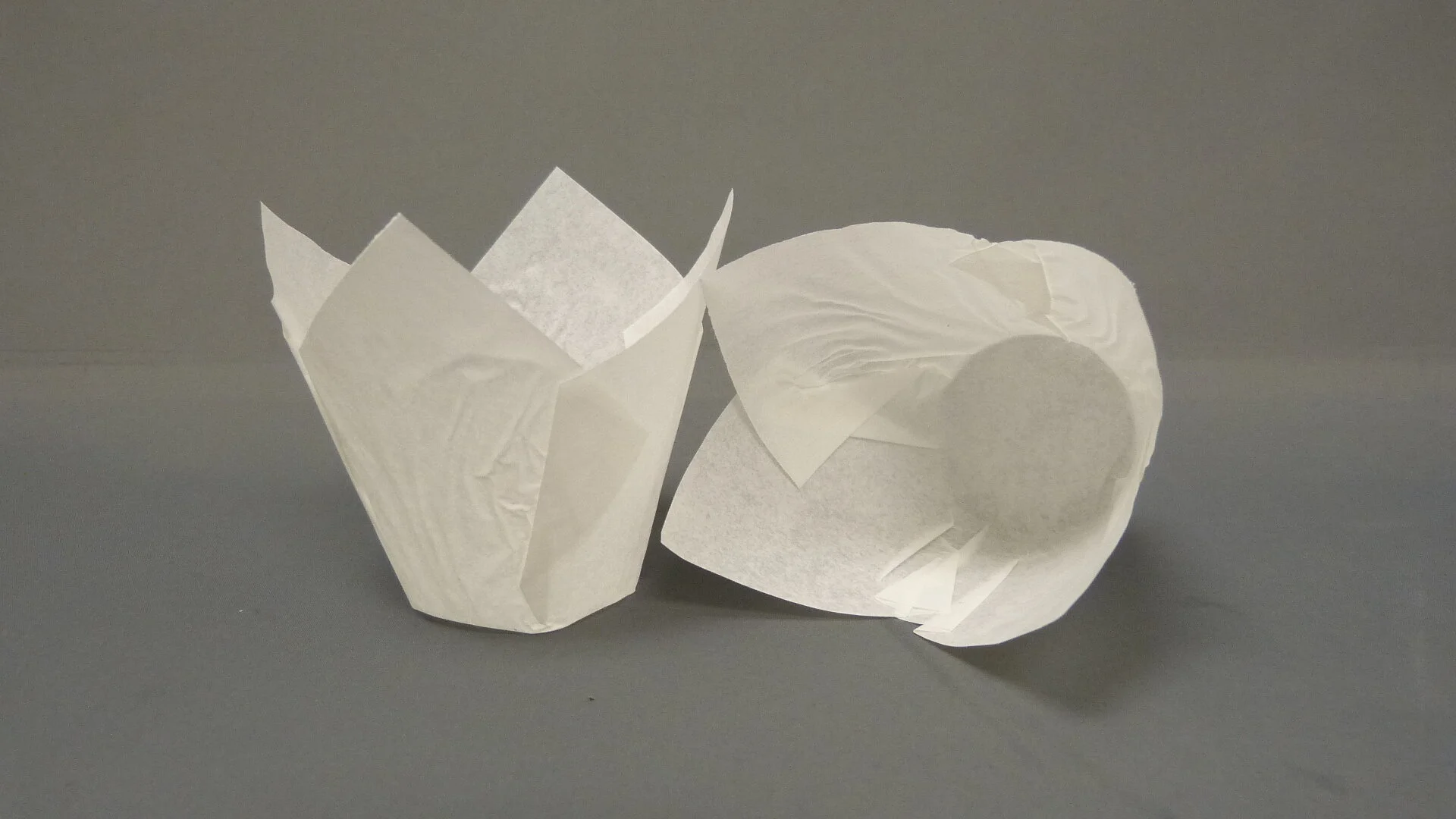 110 White Tulip cup.JPG