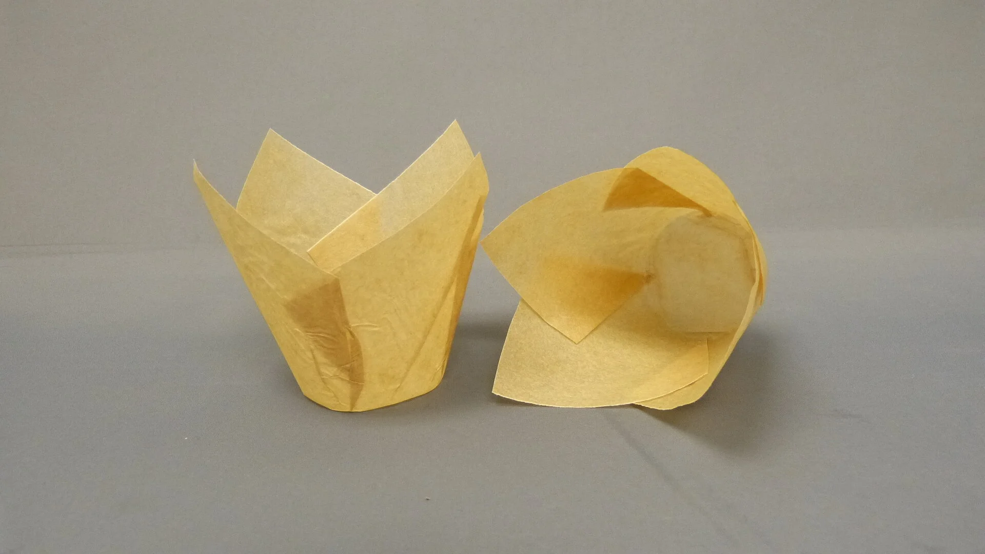 110 Natural Tulip cup.JPG