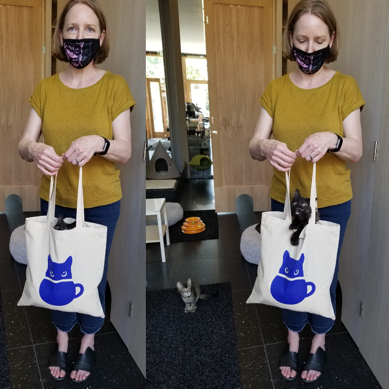 Buckminster's Tote Bag — Buckminster's Cat Cafe