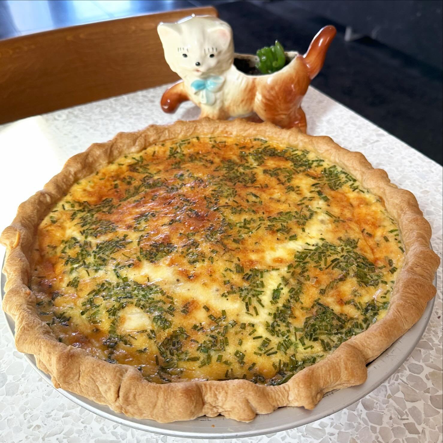 Quiche of the day is leek with chives and cheddar. 🥧We&rsquo;ve opened up our outdoor dining space so come enjoy the beautiful day with us! #buckminsterscatcafe #lunchwithcats #quicheoftheday