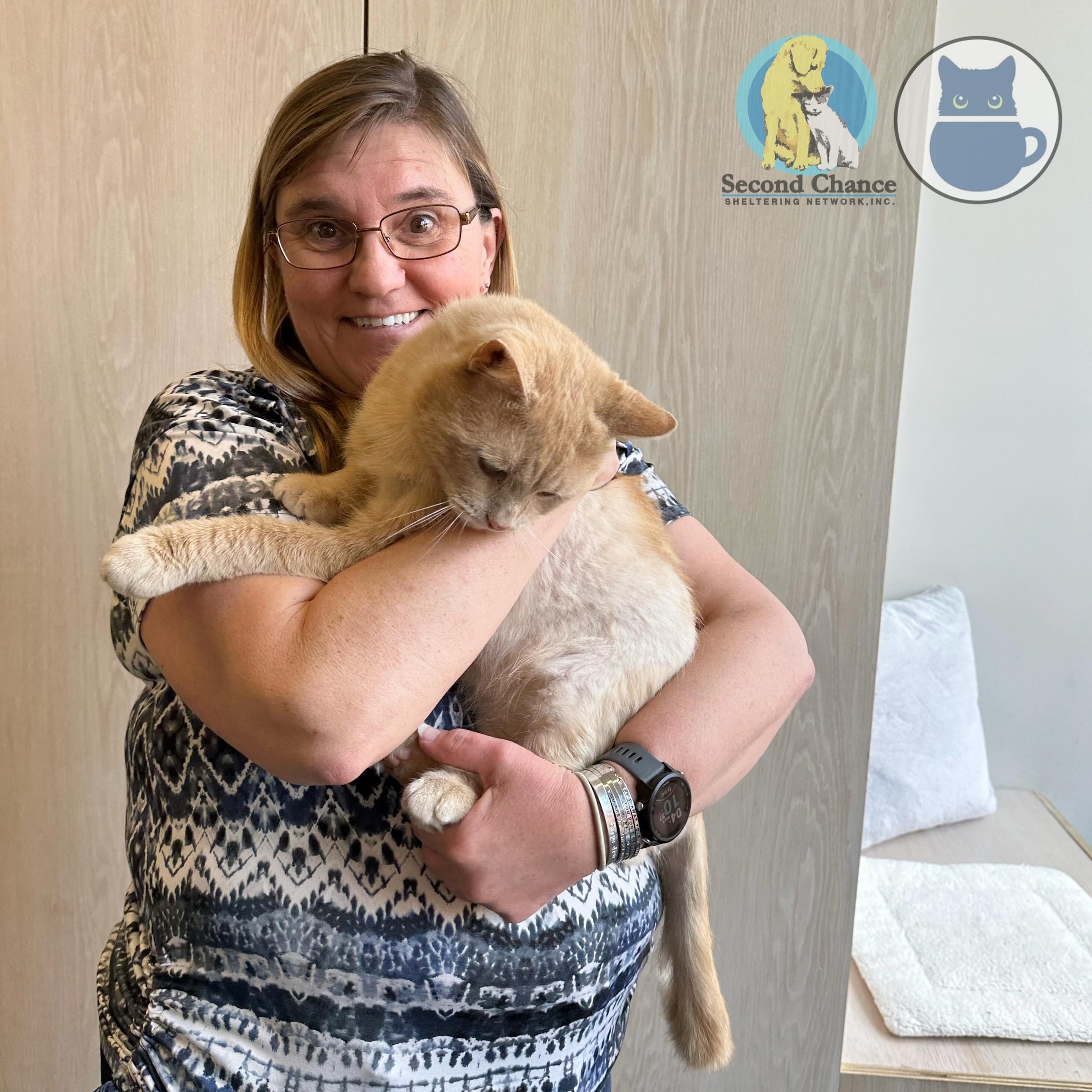 Hurray for Channing, our FIV+ boy who has been recovering from a severe attack by another animal when he was a stray. Channing struck gold with his adopter, Lynn, who has lots of experience with FIV+ kitties. We know this big guy will thrive in his n