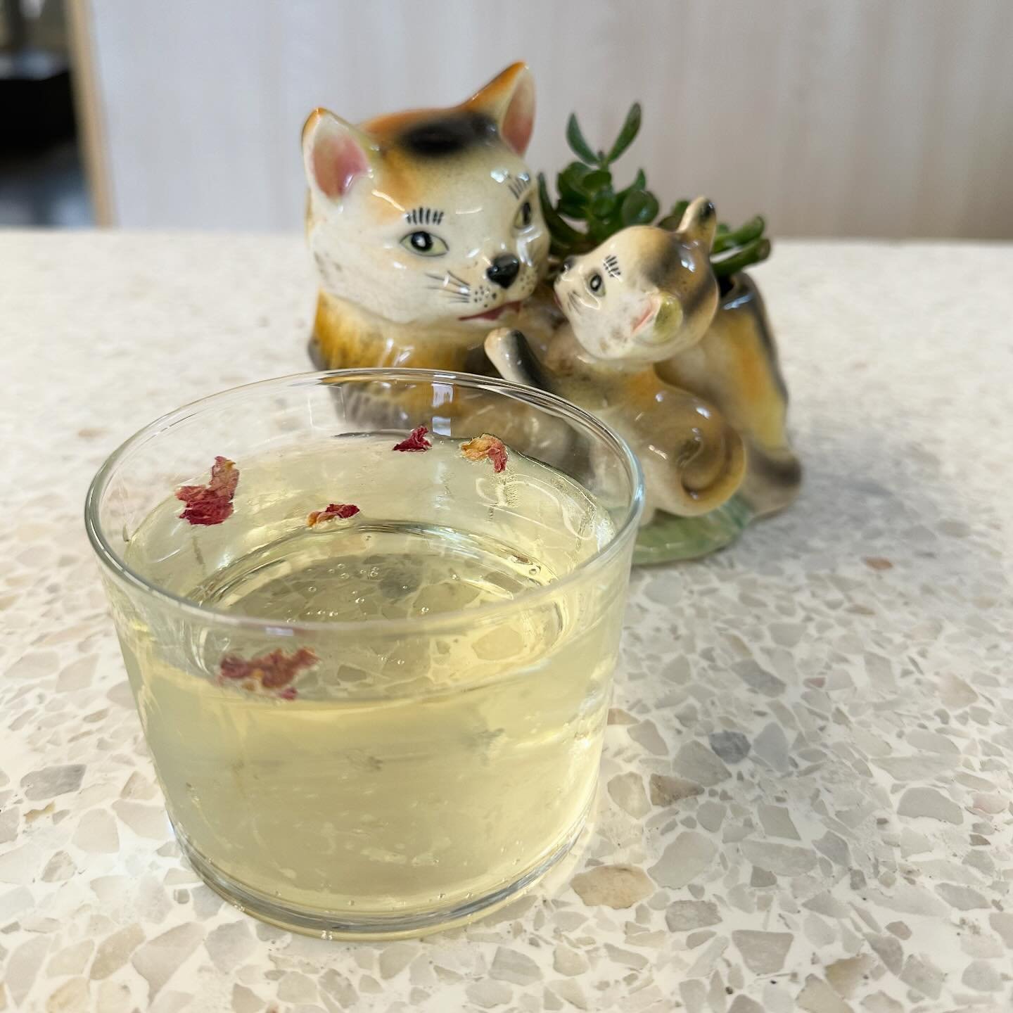 In celebration of Mother&rsquo;s Day, this weekend we will be featuring glasses of &ldquo;Rosecco&rdquo; (Prosecco with house made rose syrup) and cat-friendly bouquets by @auraandsoulfloral. As always on weekends, Cat Zone reservations are highly re