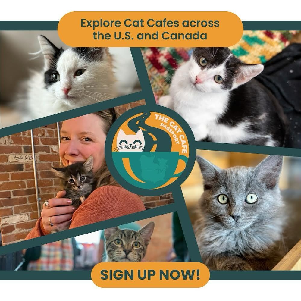 Buckminster&rsquo;s is now an official @the_cat_cafe_passport participant! You can earn points and prizes for visiting cat cafes throughout North America. It&rsquo;s free and easy to sign up and start your adventure&mdash;just in time for all those s