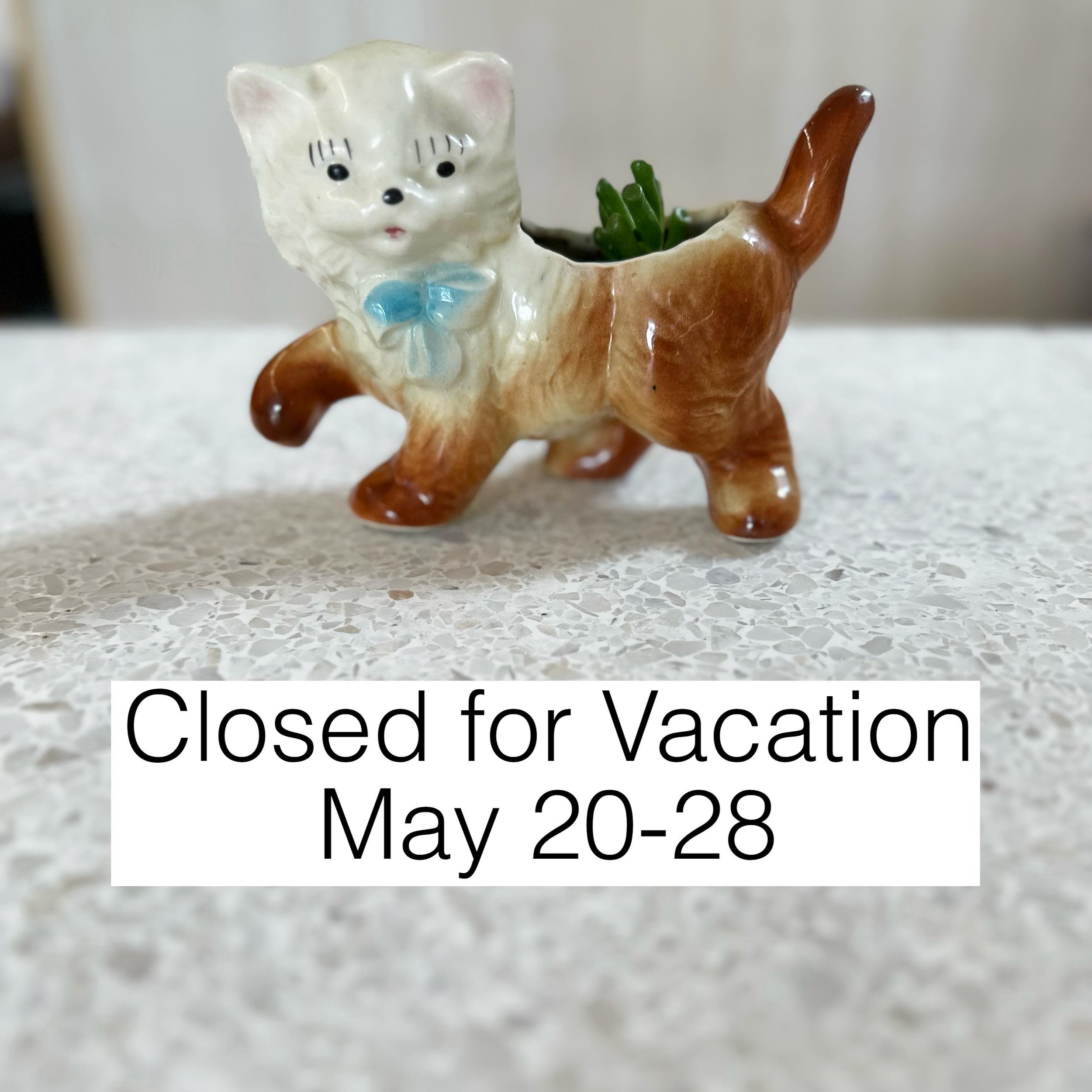 A heads-up that we will be closed all week for a little break! See you on the 29th! 😻😻 #buckminsterscatcafe #adoptdontshop #vacation