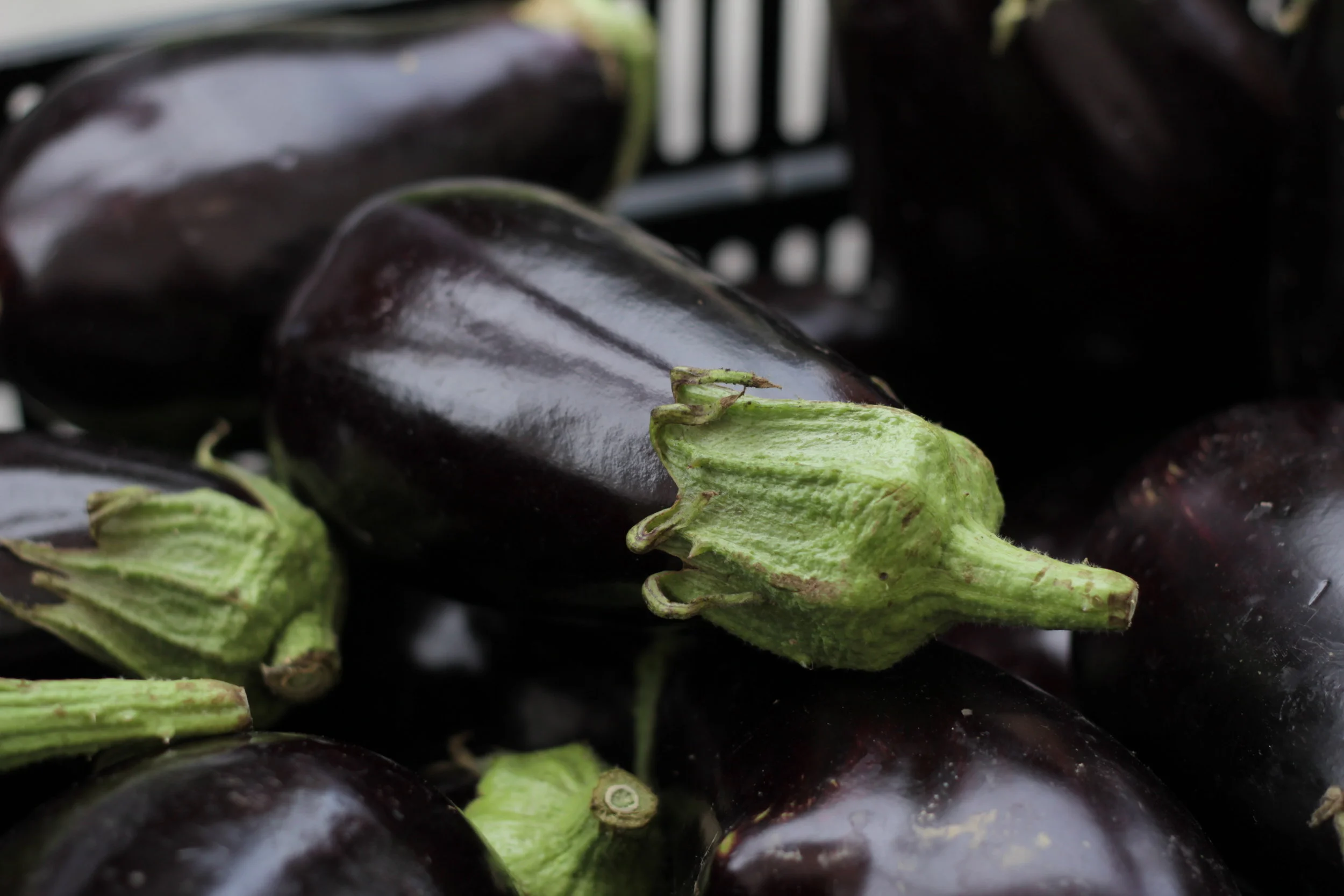The Farmer's Market In August