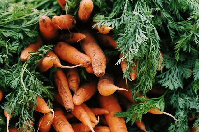 Handpicked and prepped, our veggies are sourced exclusively from local Greenmarkets and farms in the NYC region. 🥕 📷 | @gorfhansla