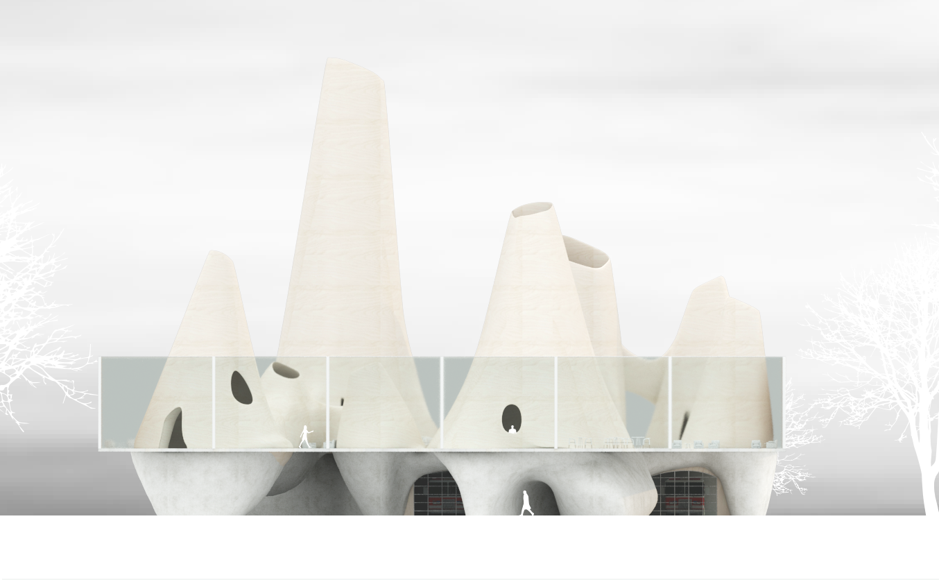 elevation_maybe final_final.png