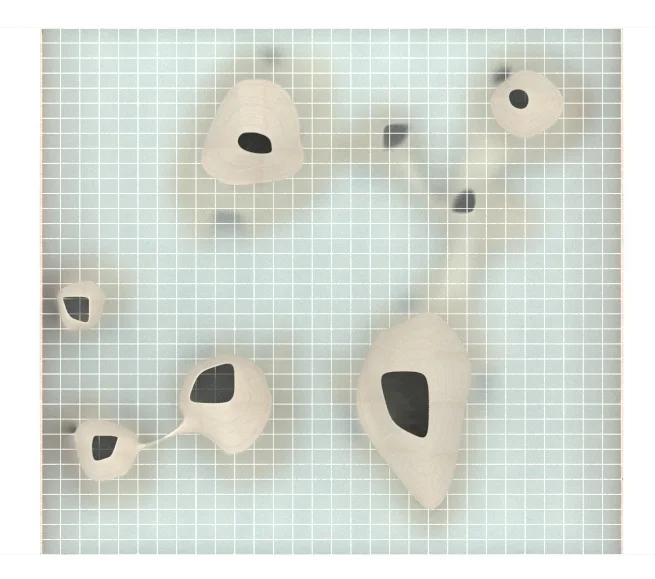  project seen from top view. Displays the relationship between the rigid grid and the more amoebic vessels 