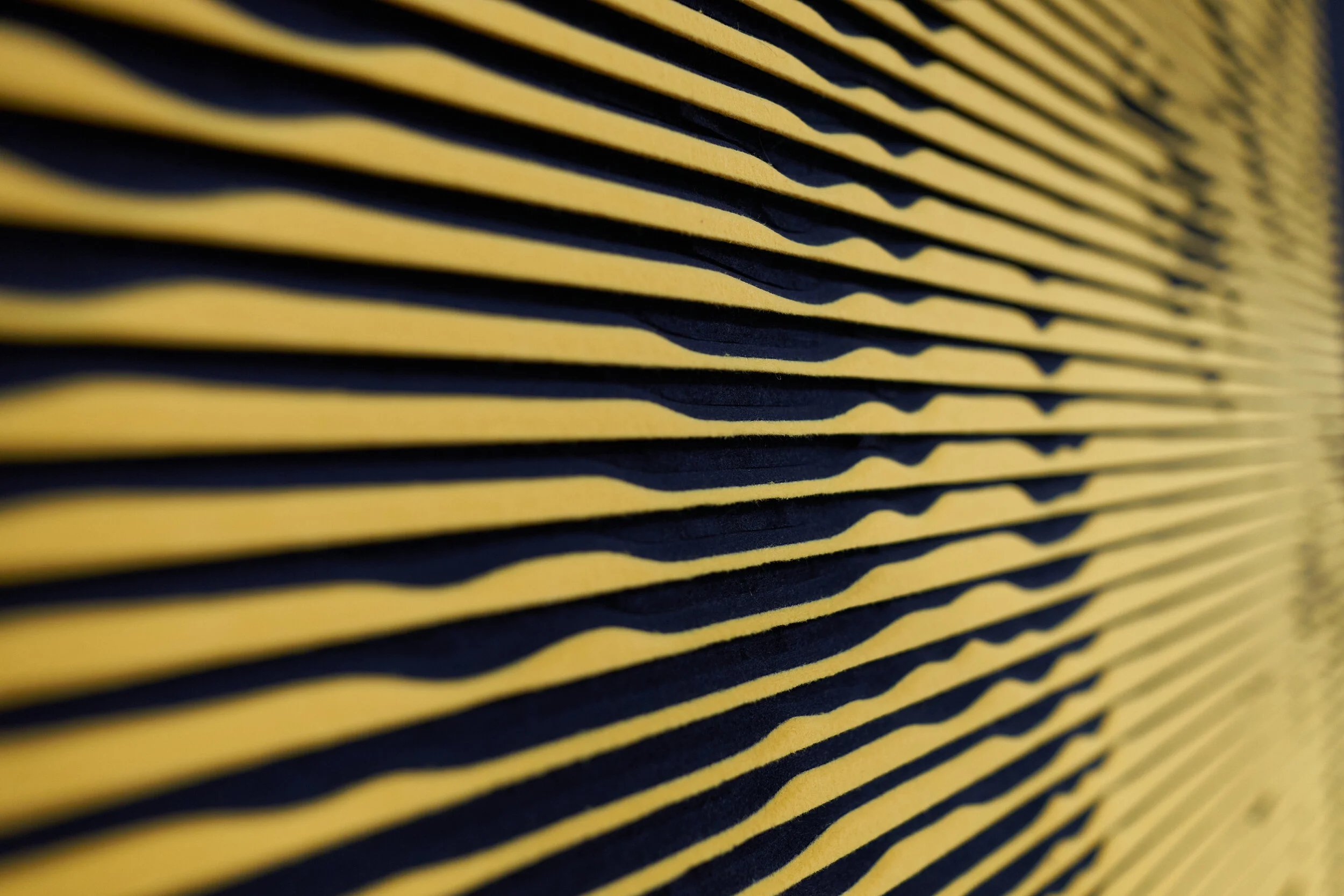 None+DSC07852.jpg
