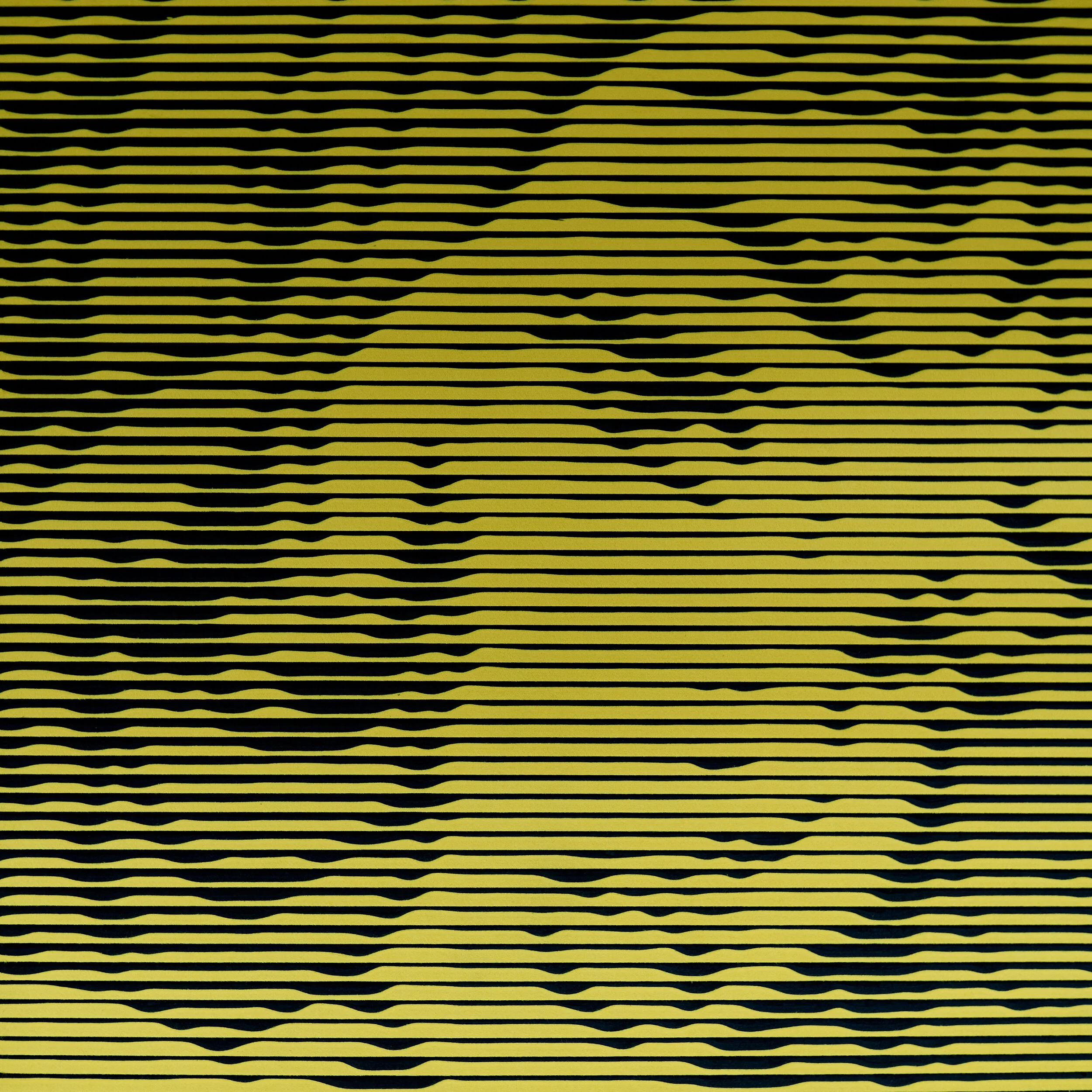 None+DSC07859.jpg