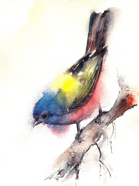 C1087D CanotStop - Bunting Bird.jpg