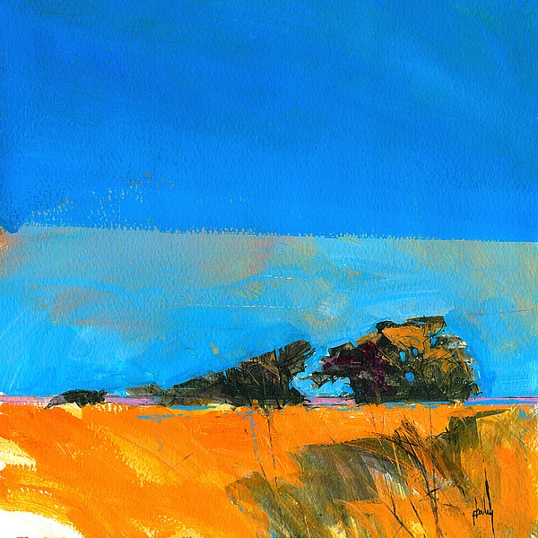 B3195D Paul Bailey - Retracing My Steps.jpg