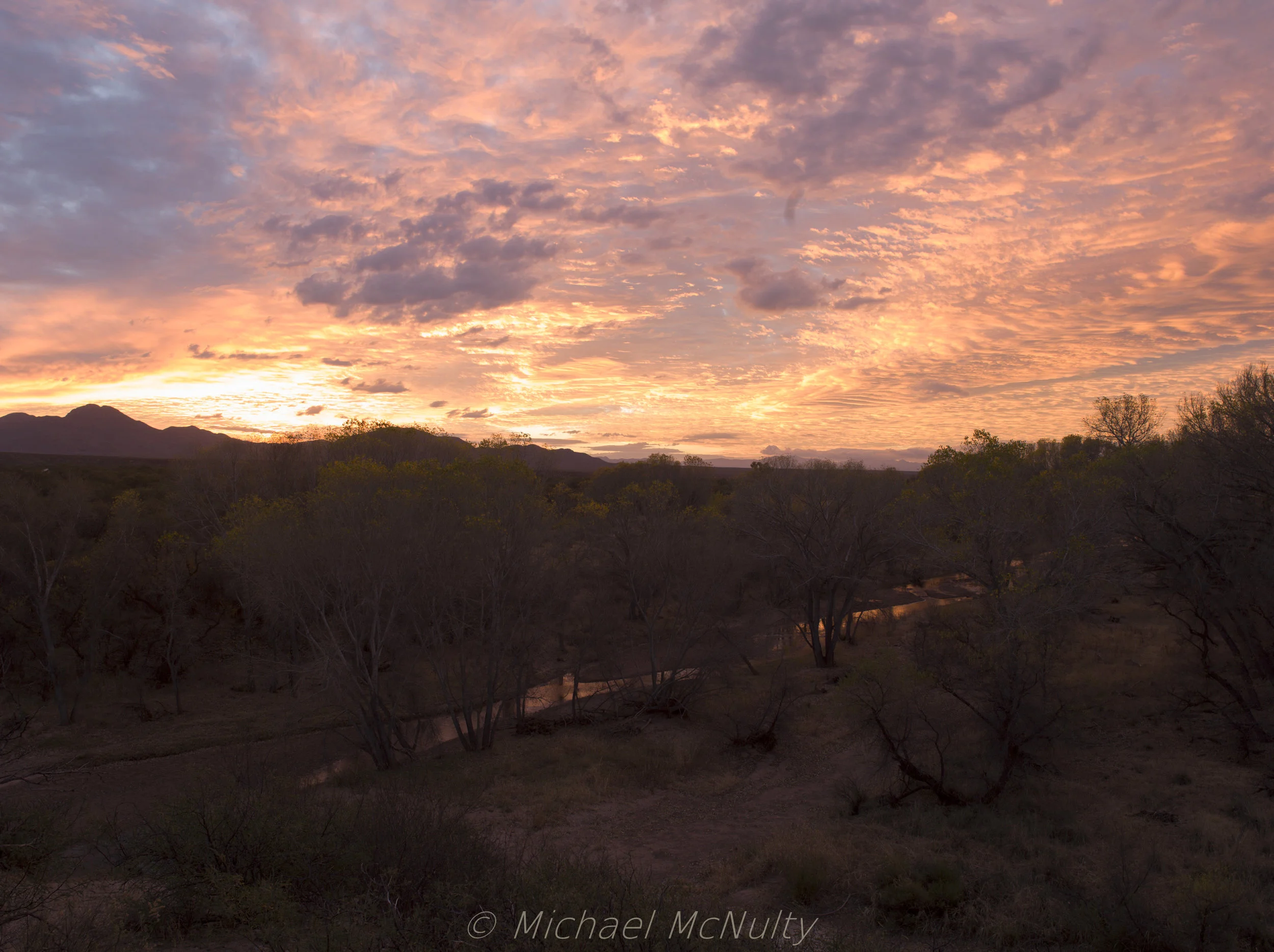 McNulty San Pedro cottonwoods-007300.jpg