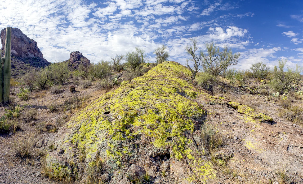 McNulty_M-Landscapes2017_-1.jpg